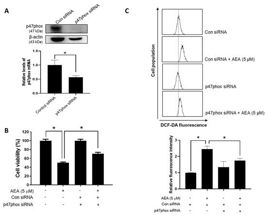 Antioxidants 11 00293 g005 550
