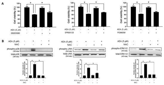 Antioxidants 11 00293 g006 550