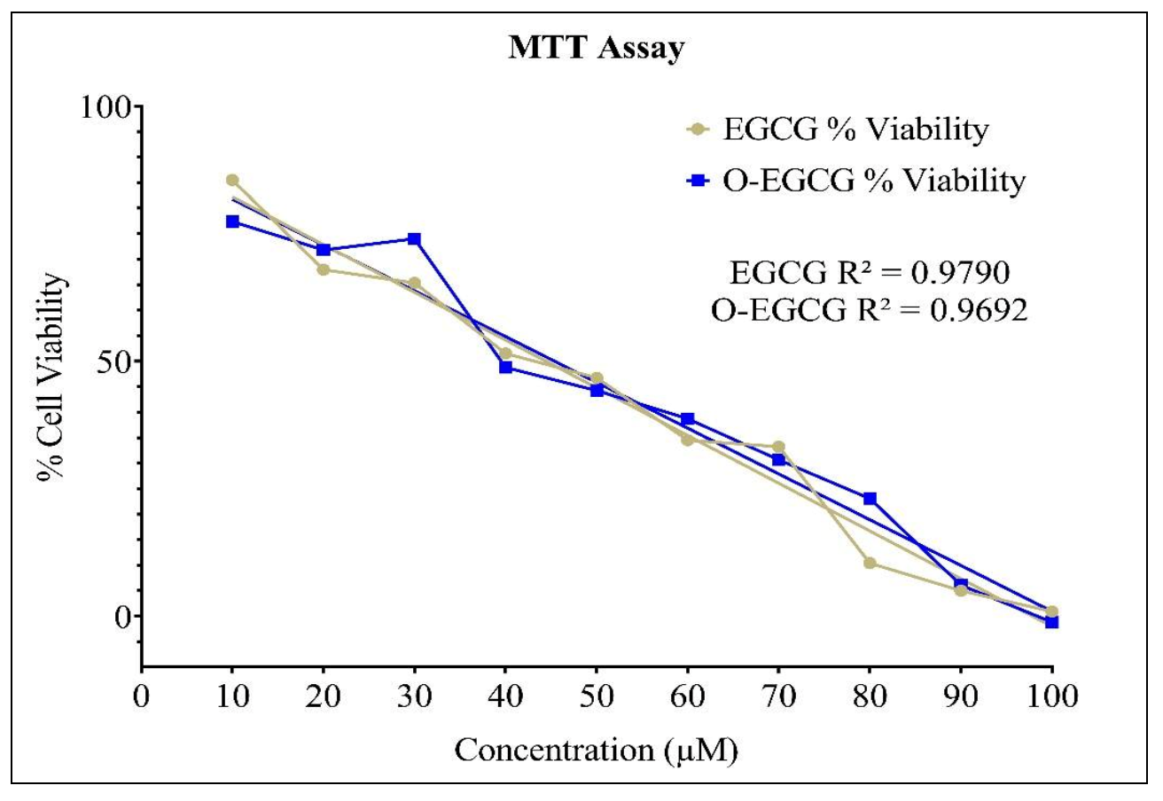 Antioxidants 11 00294 g002