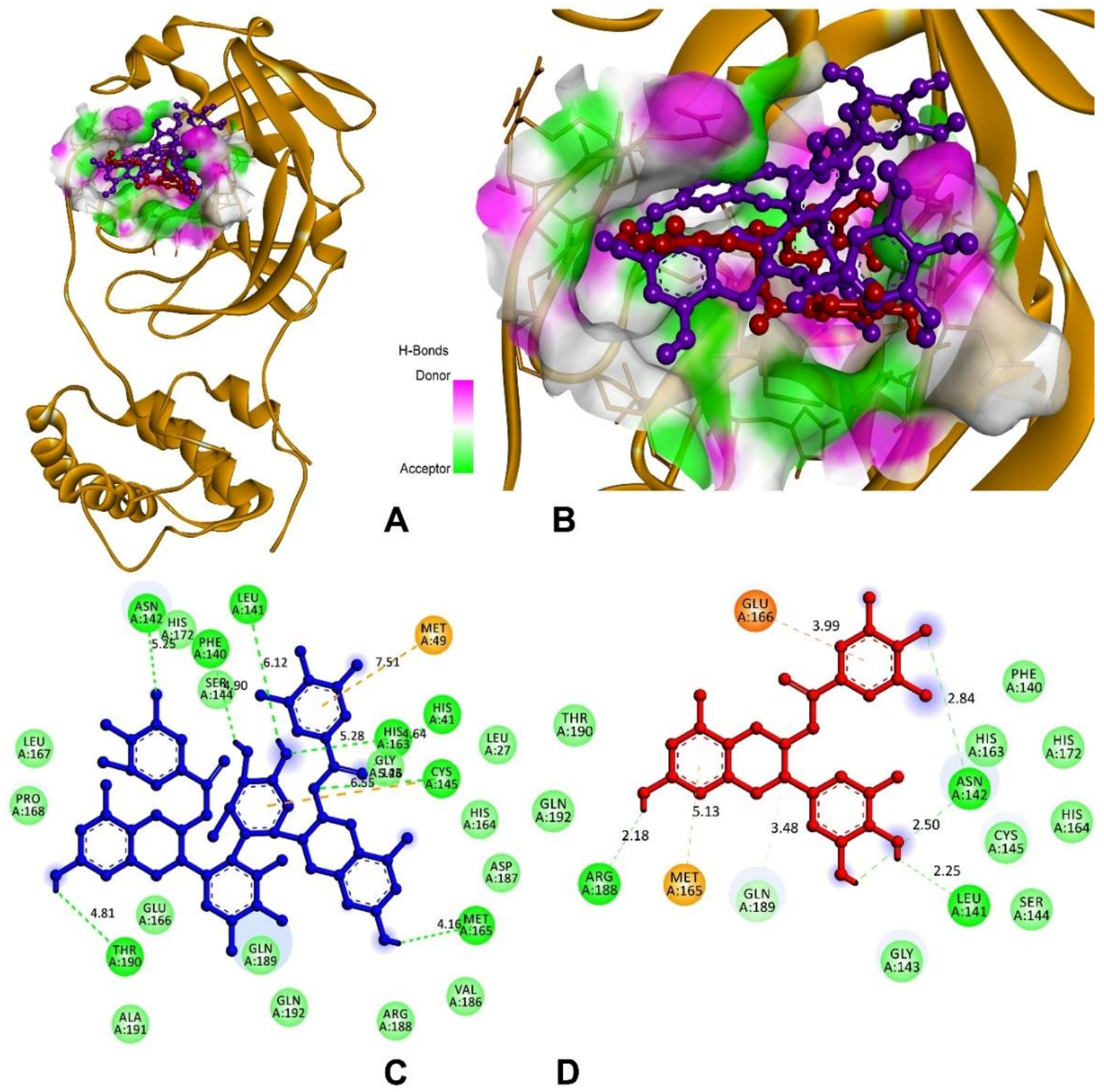 Antioxidants 11 00294 g011