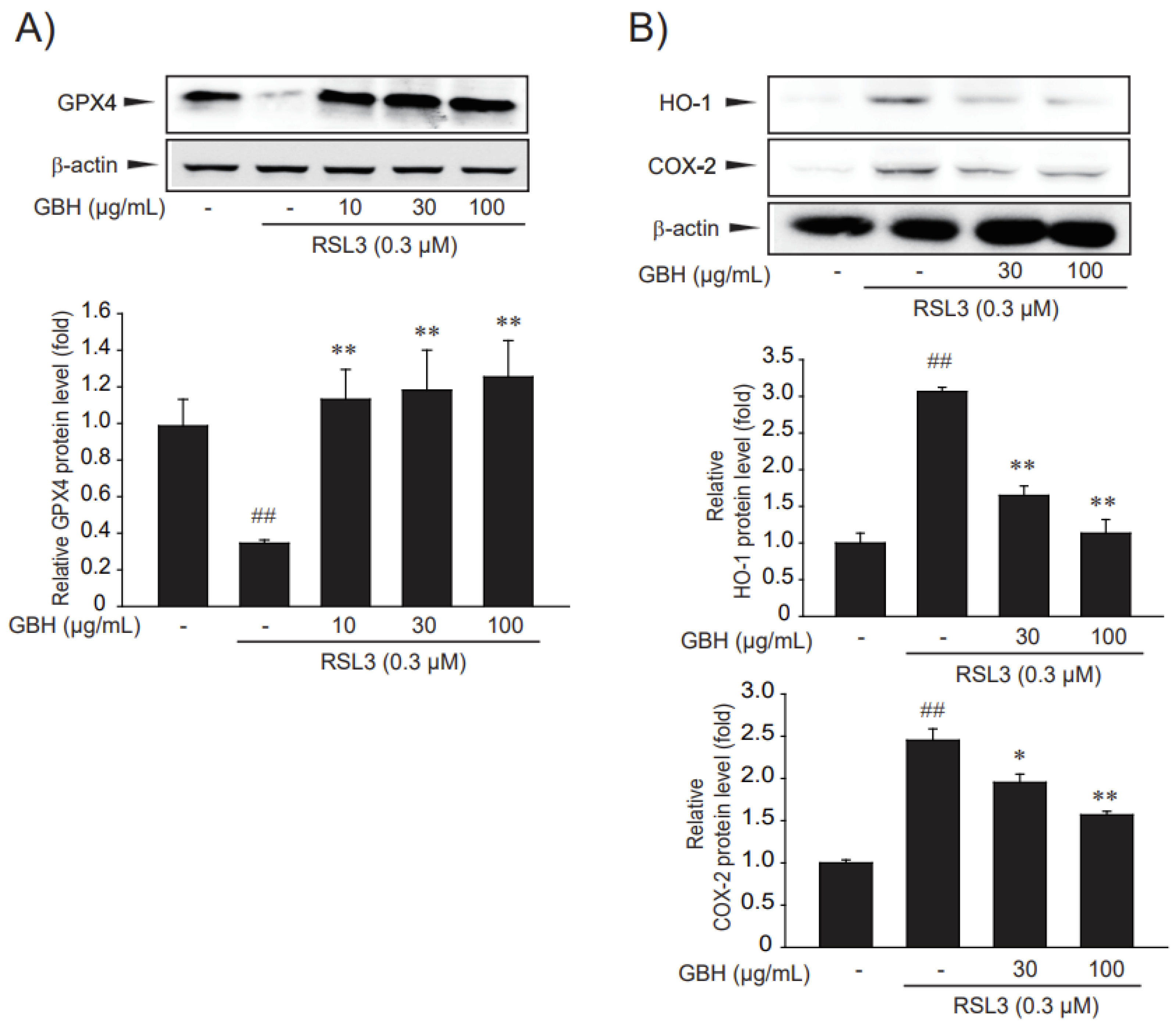 Antioxidants 11 00295 g004