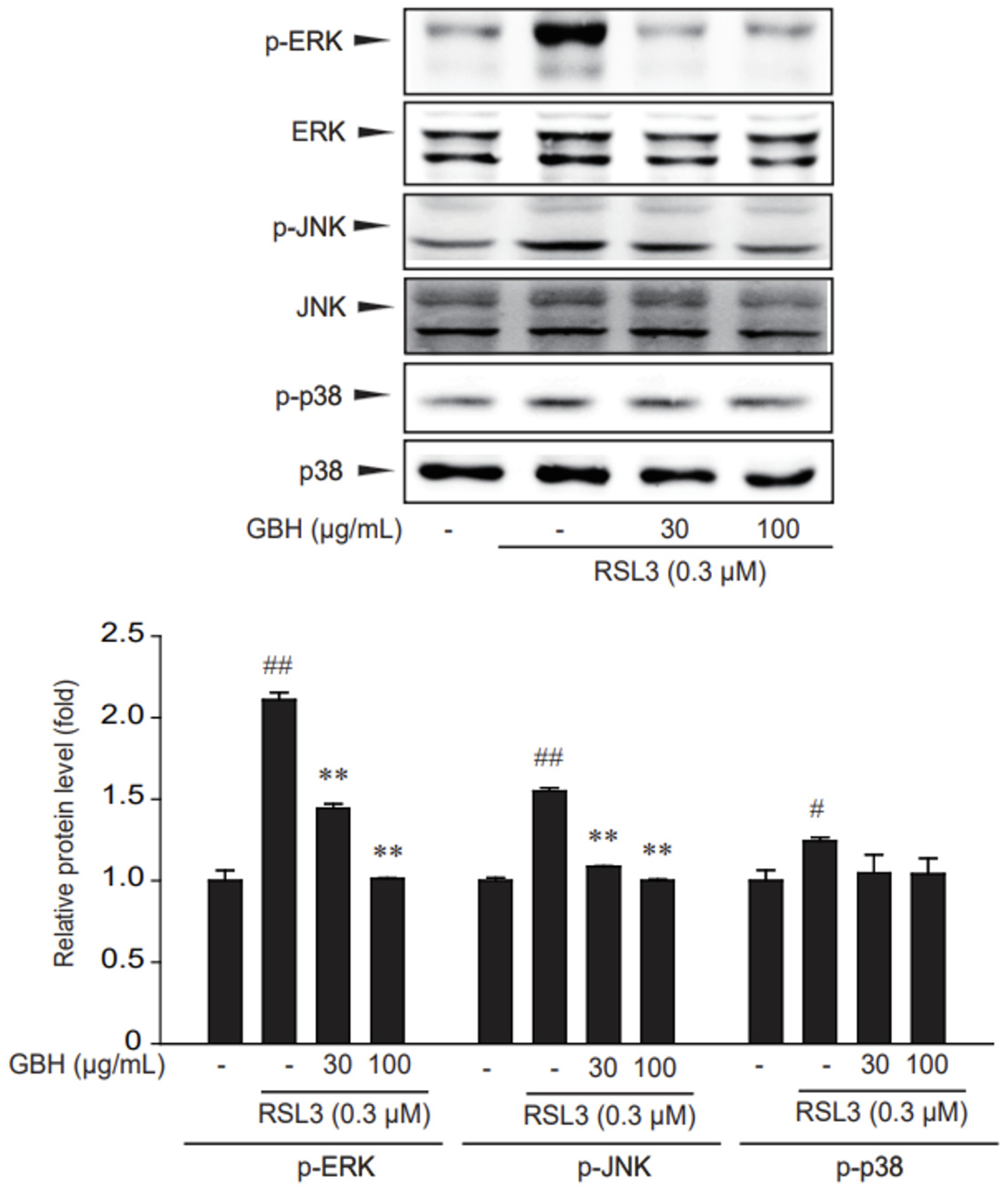 Antioxidants 11 00295 g005