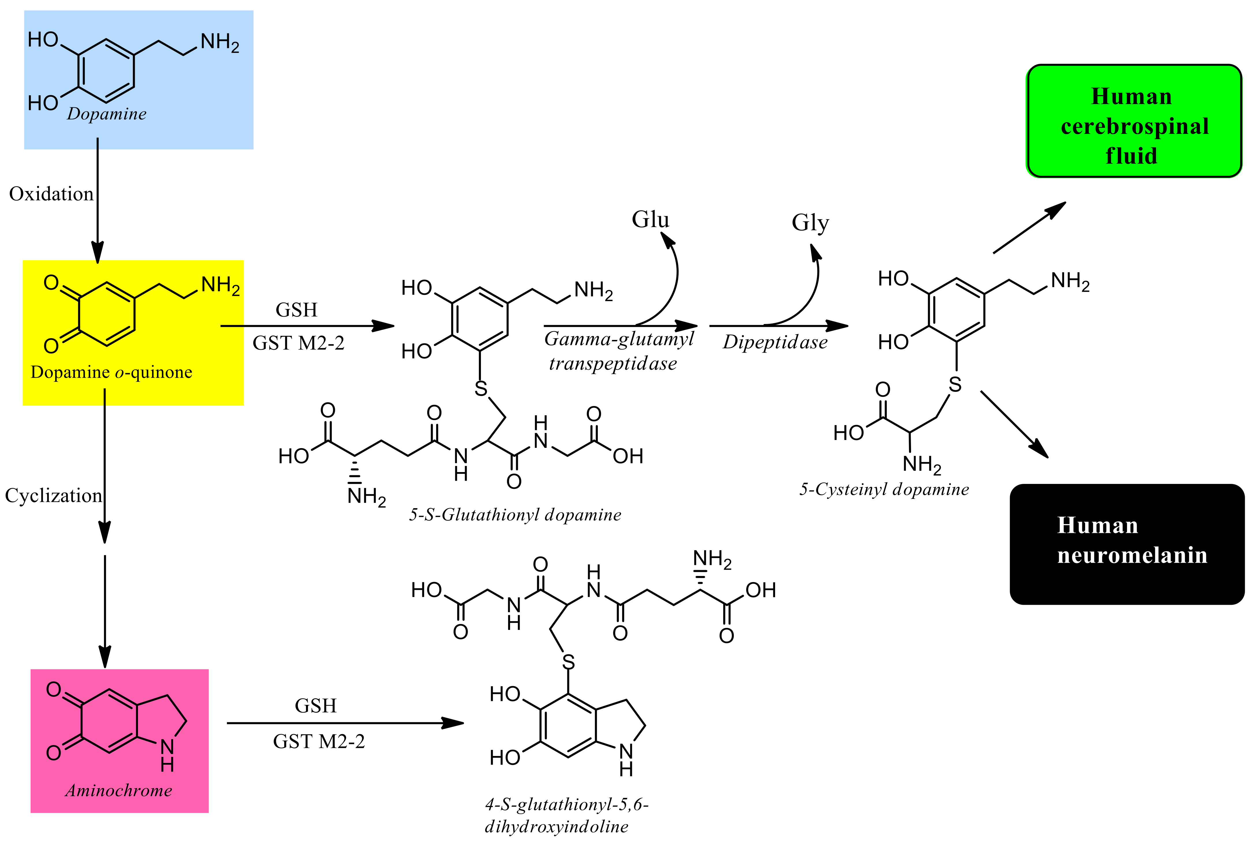 Antioxidants 11 00296 g004