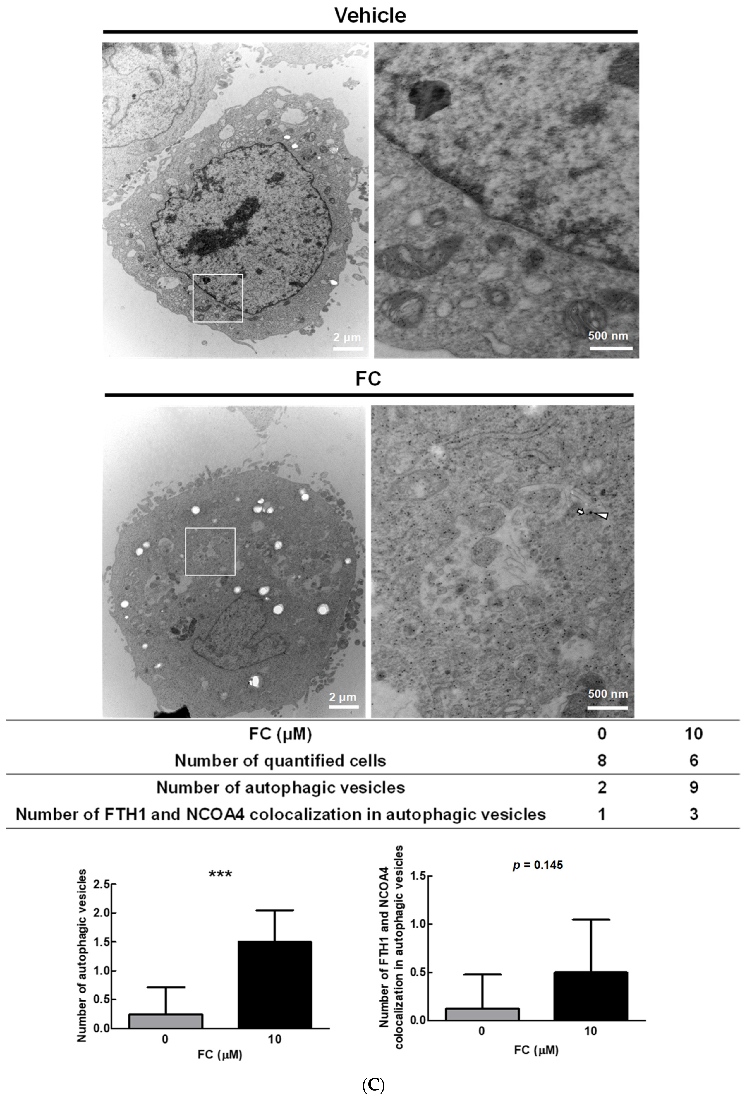 Antioxidants 11 00298 g004b