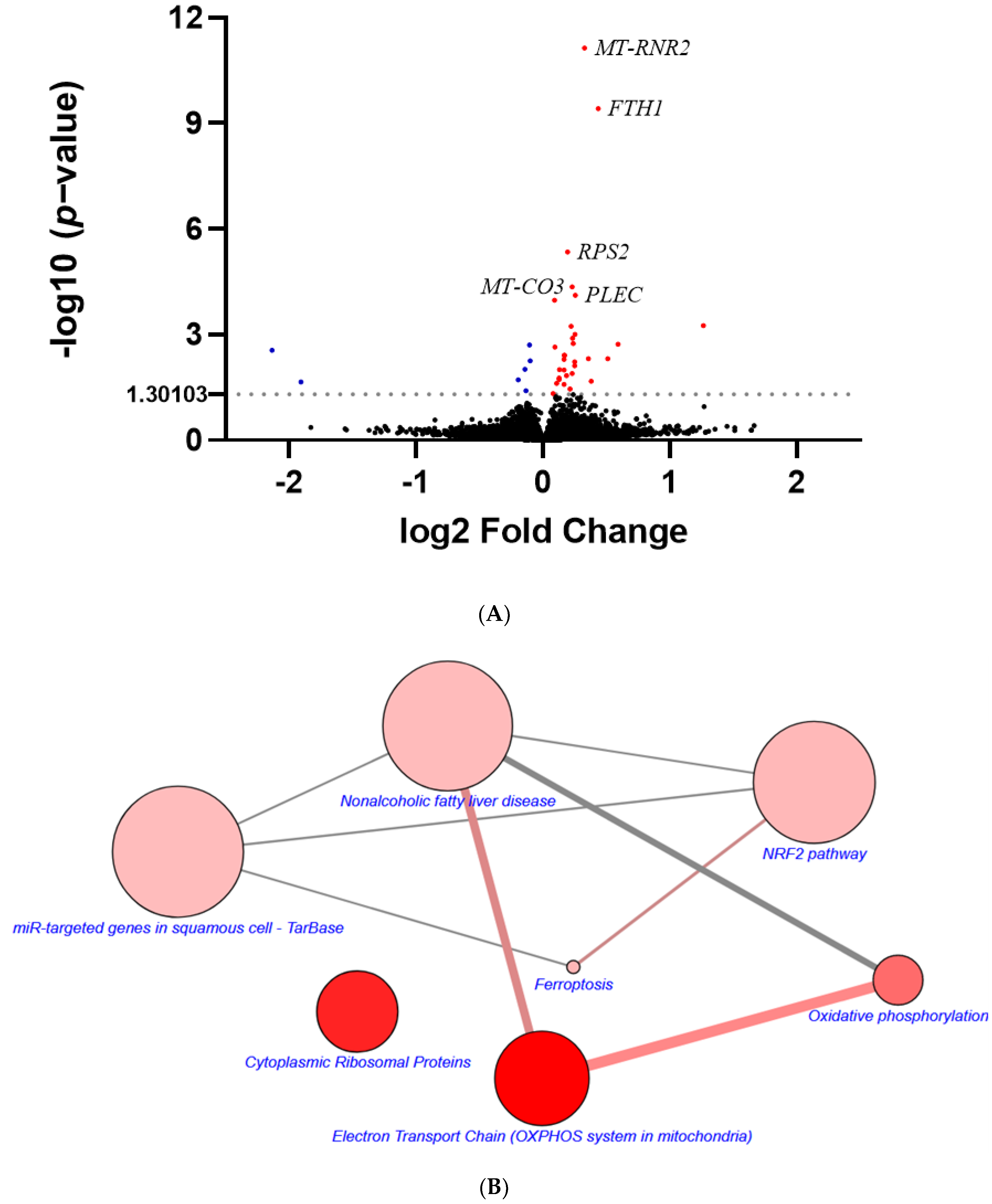 Antioxidants 11 00298 g005