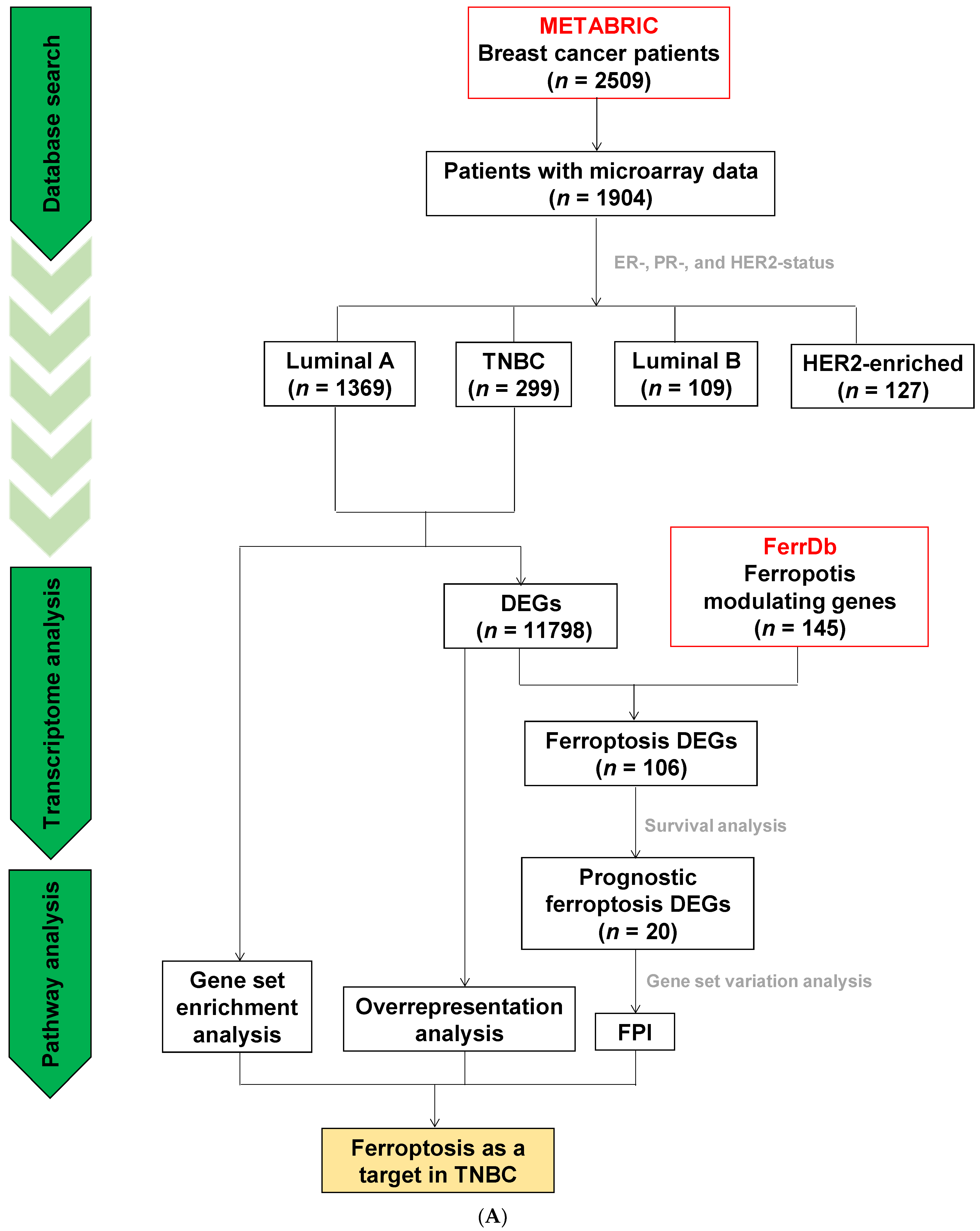 Antioxidants 11 00298 g007a