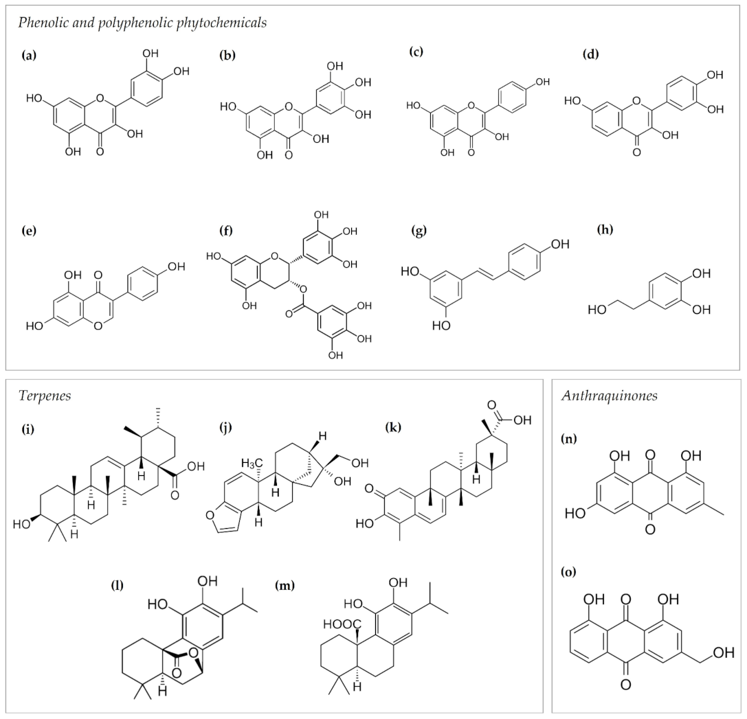 Antioxidants 11 00302 g003