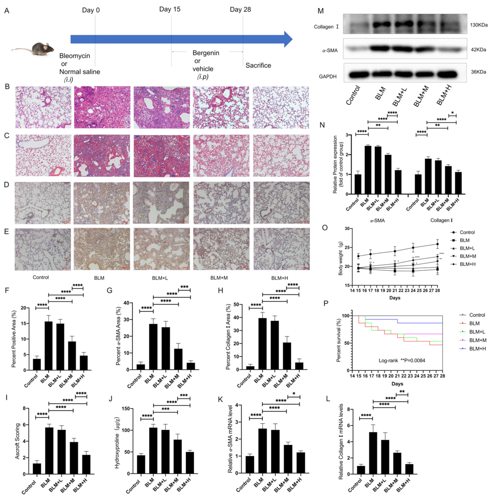 Antioxidants 11 00307 g001
