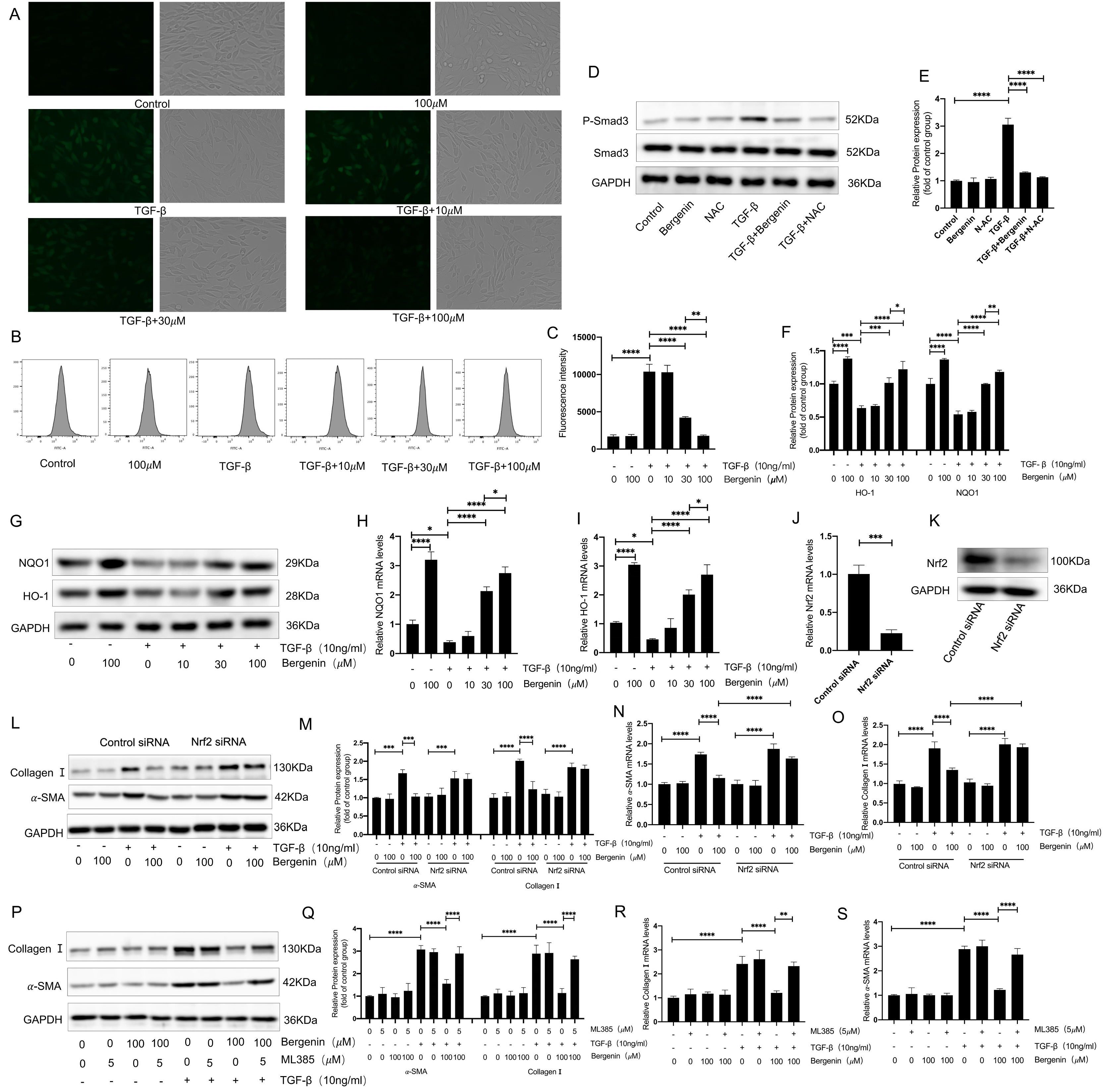 Antioxidants 11 00307 g004