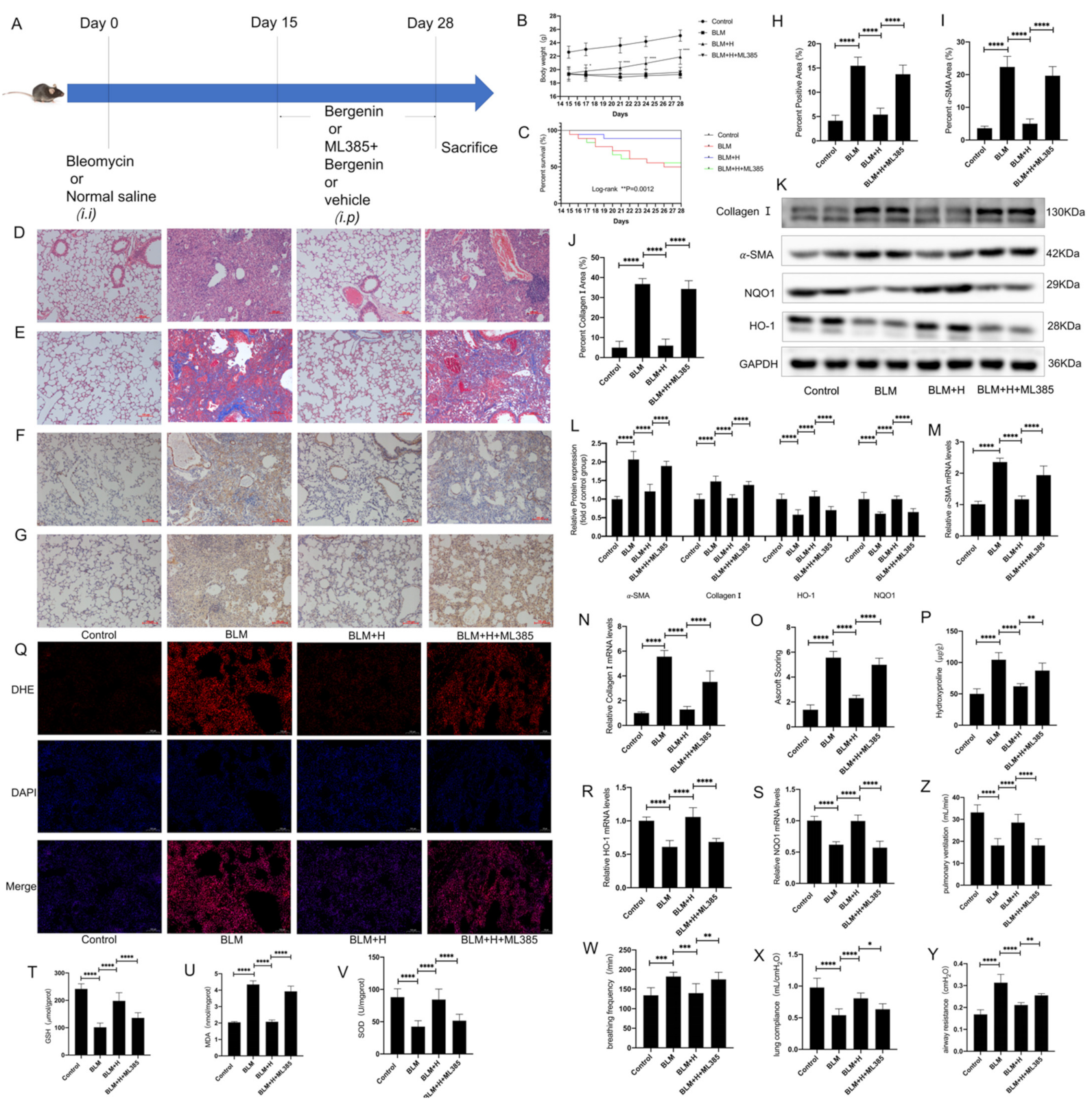 Antioxidants 11 00307 g006