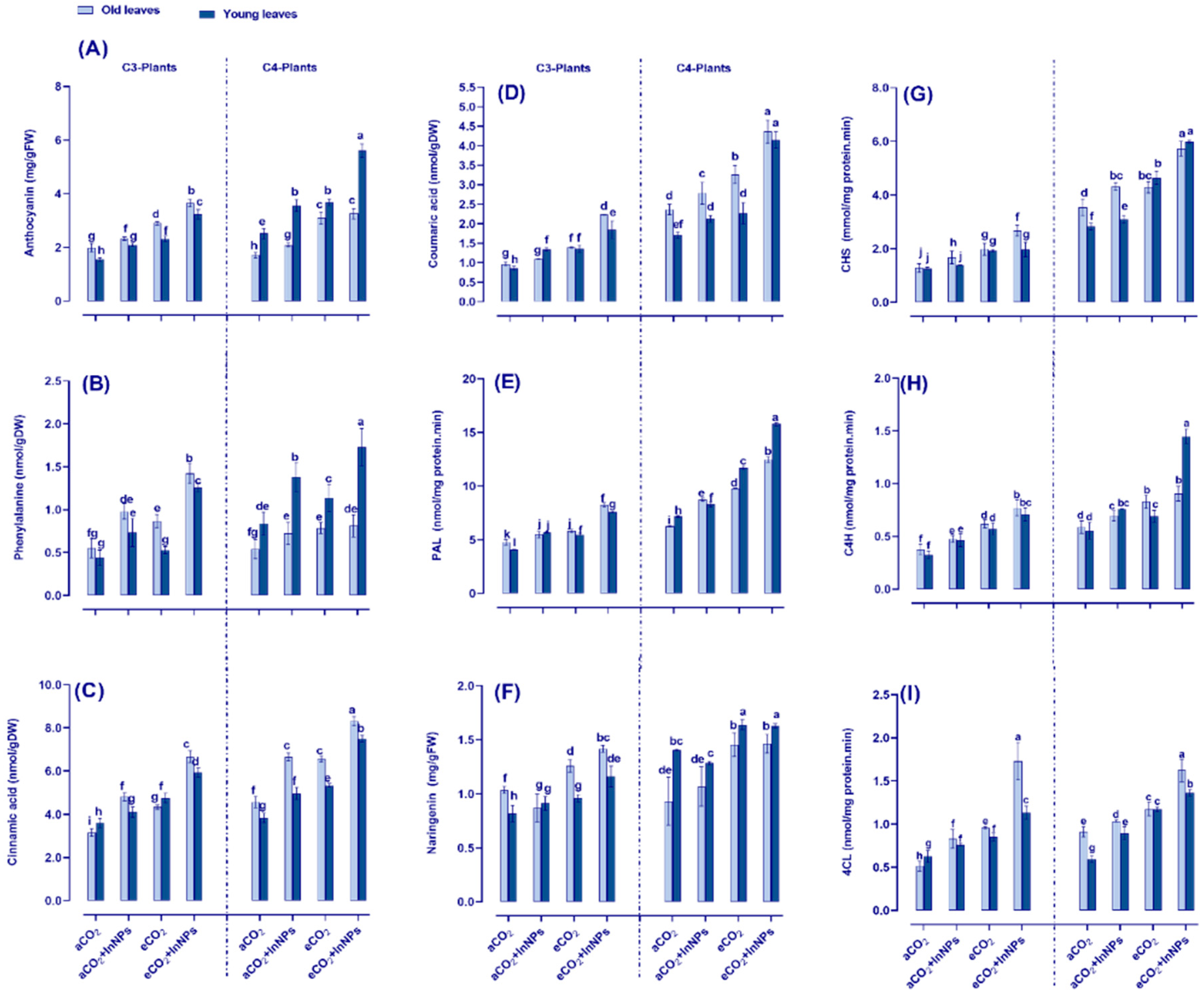 Antioxidants 11 00308 g005