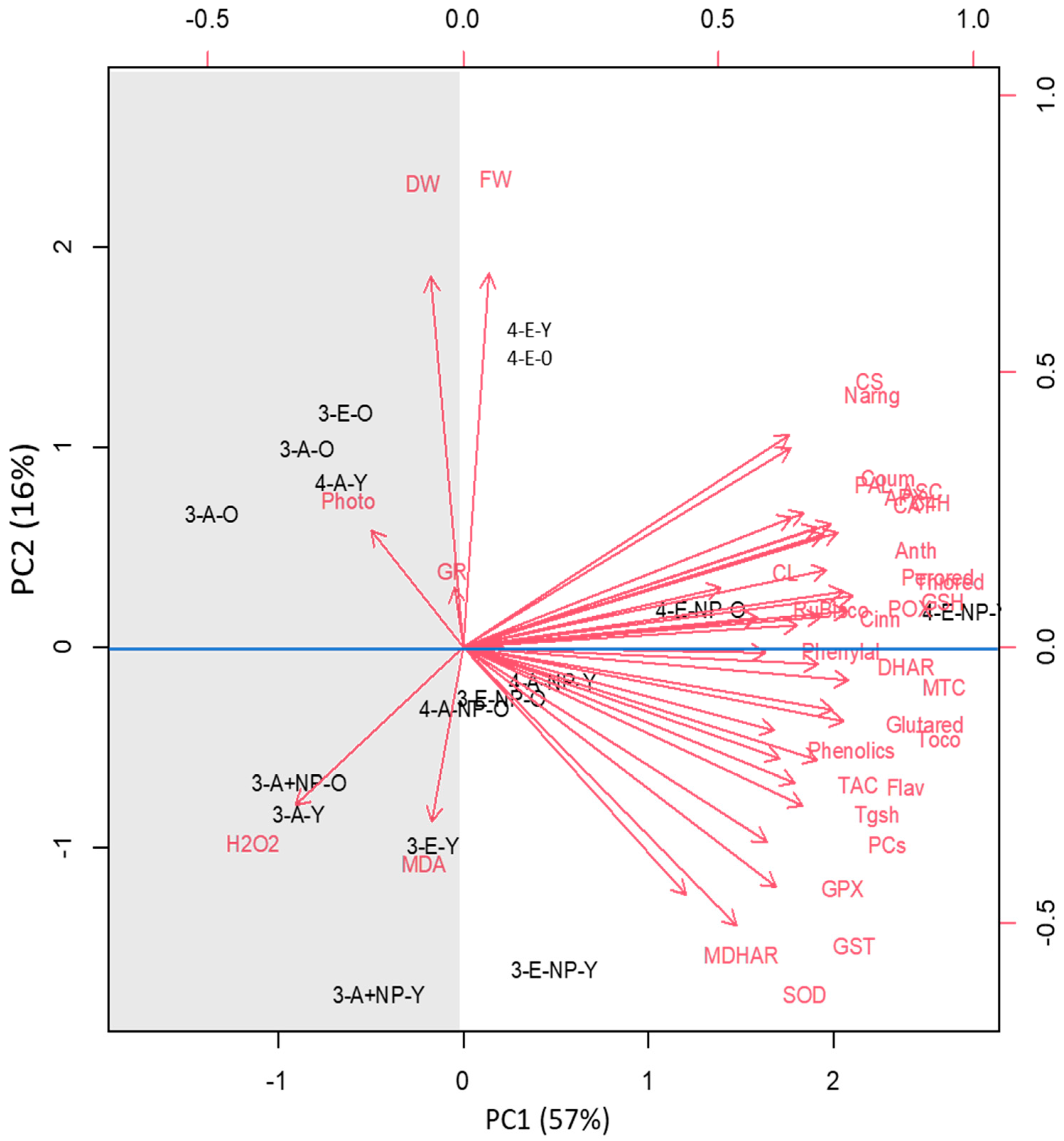 Antioxidants 11 00308 g006
