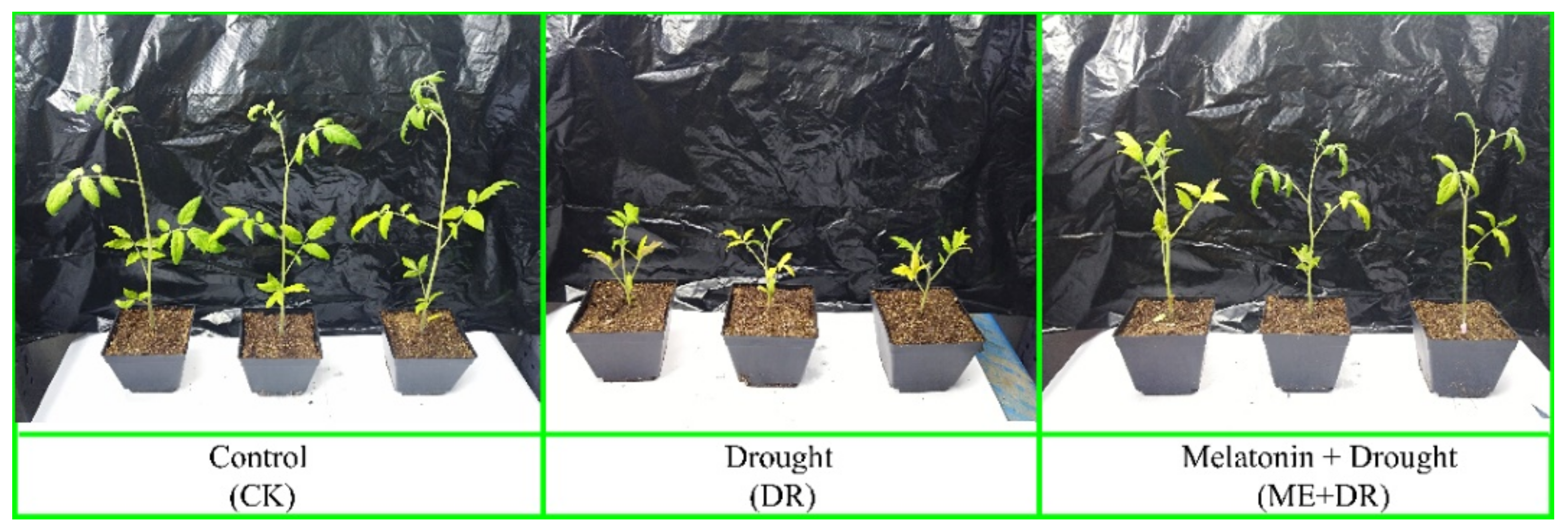 Antioxidants 11 00309 g001