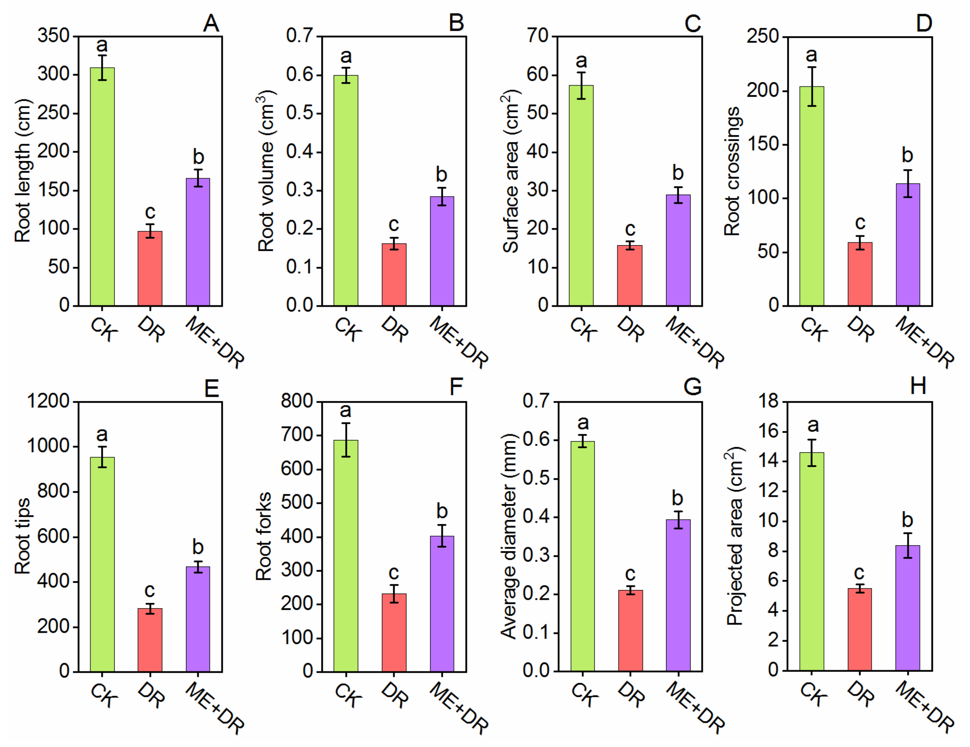 Antioxidants 11 00309 g004