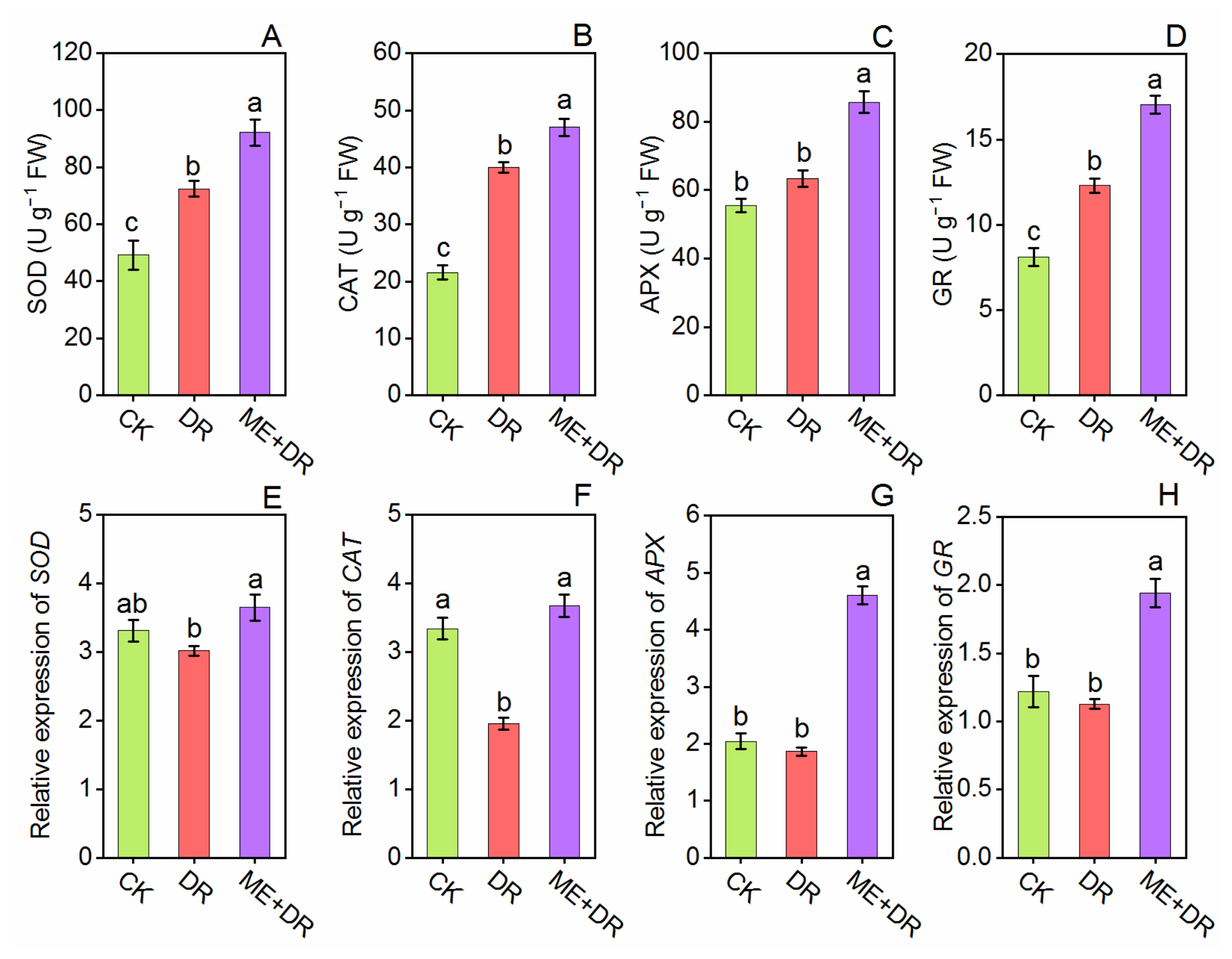 Antioxidants 11 00309 g007