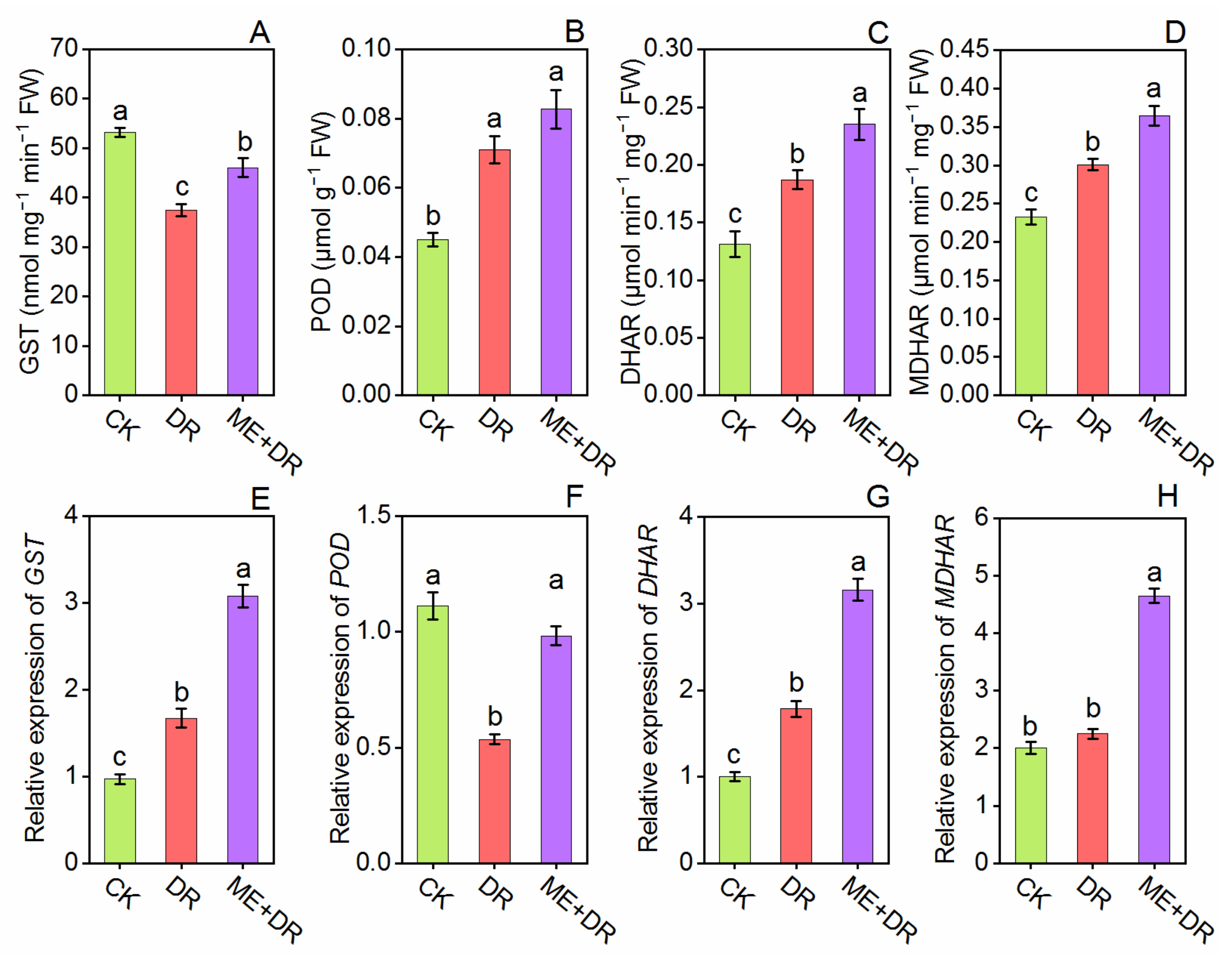 Antioxidants 11 00309 g008