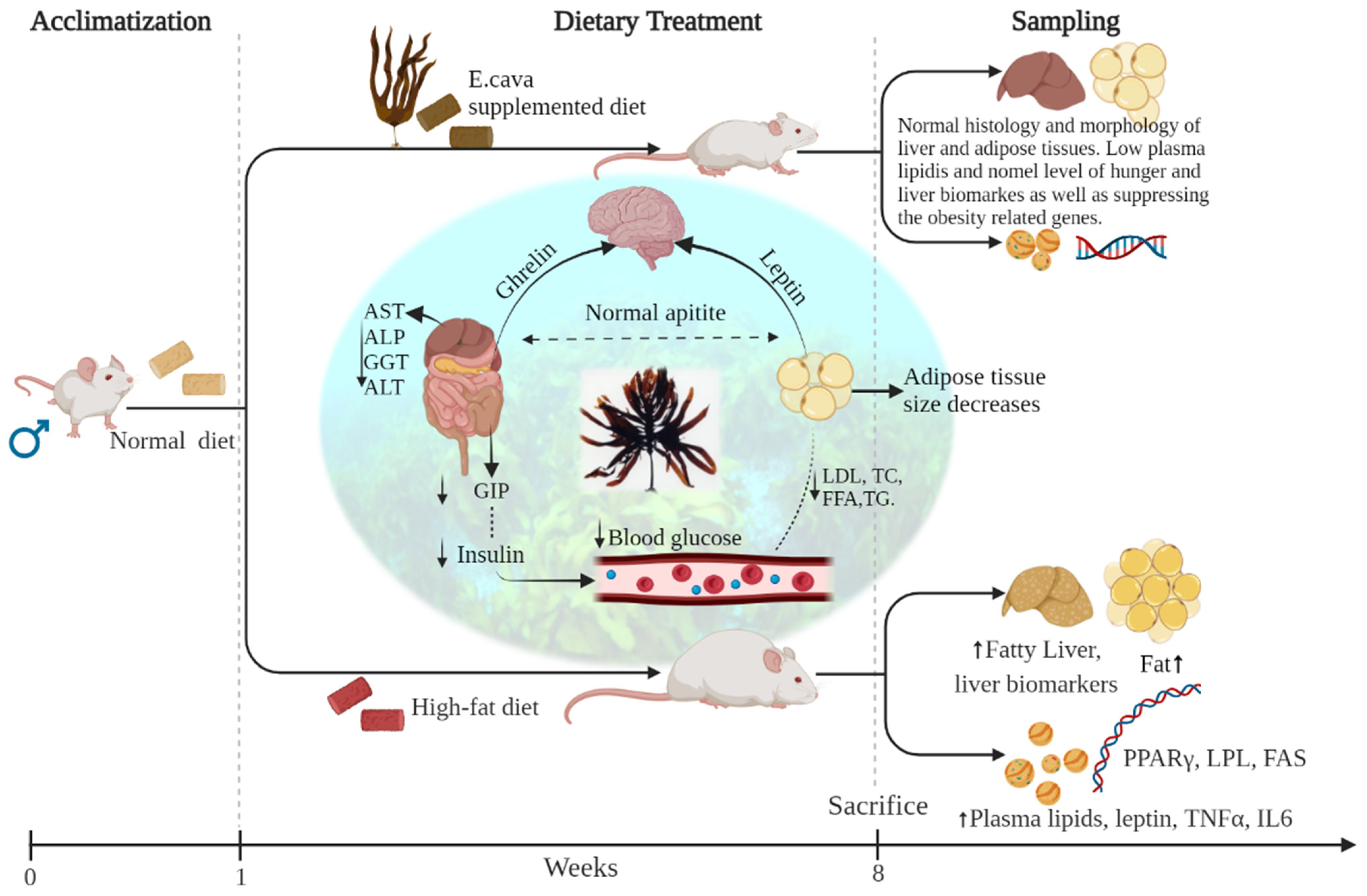 Antioxidants 11 00310 g013