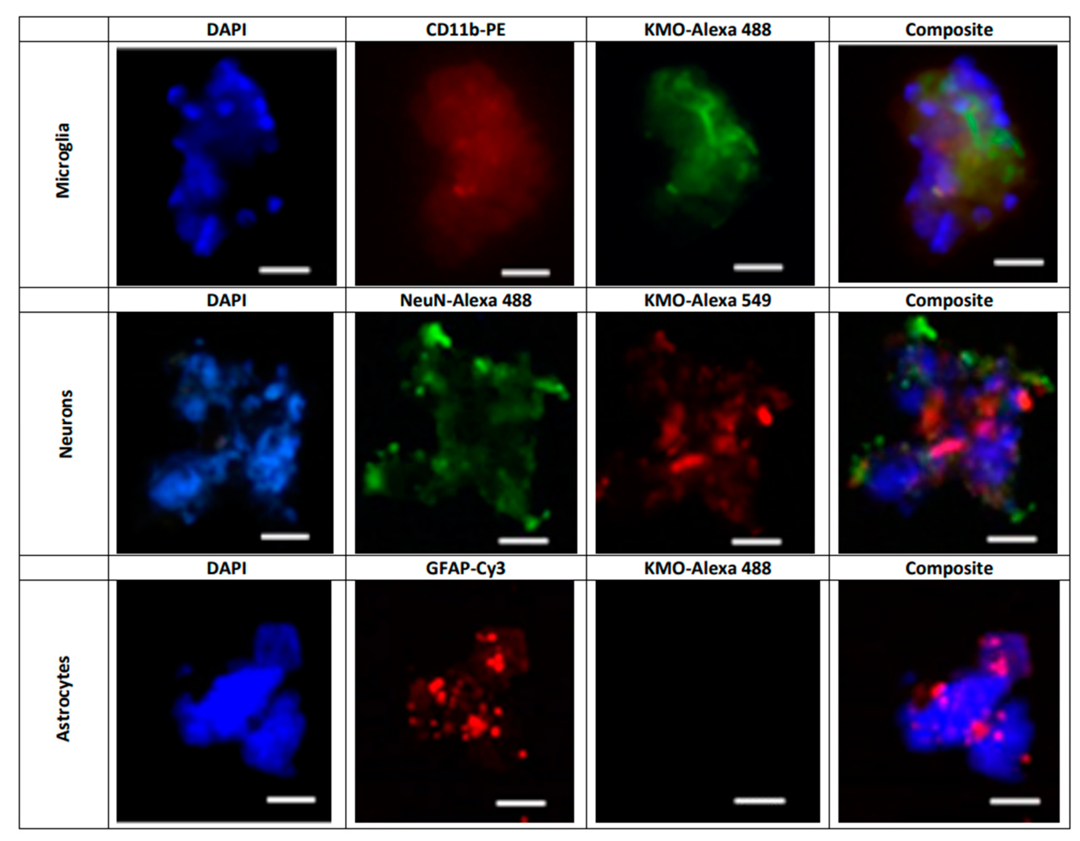 Antioxidants 11 00315 g007