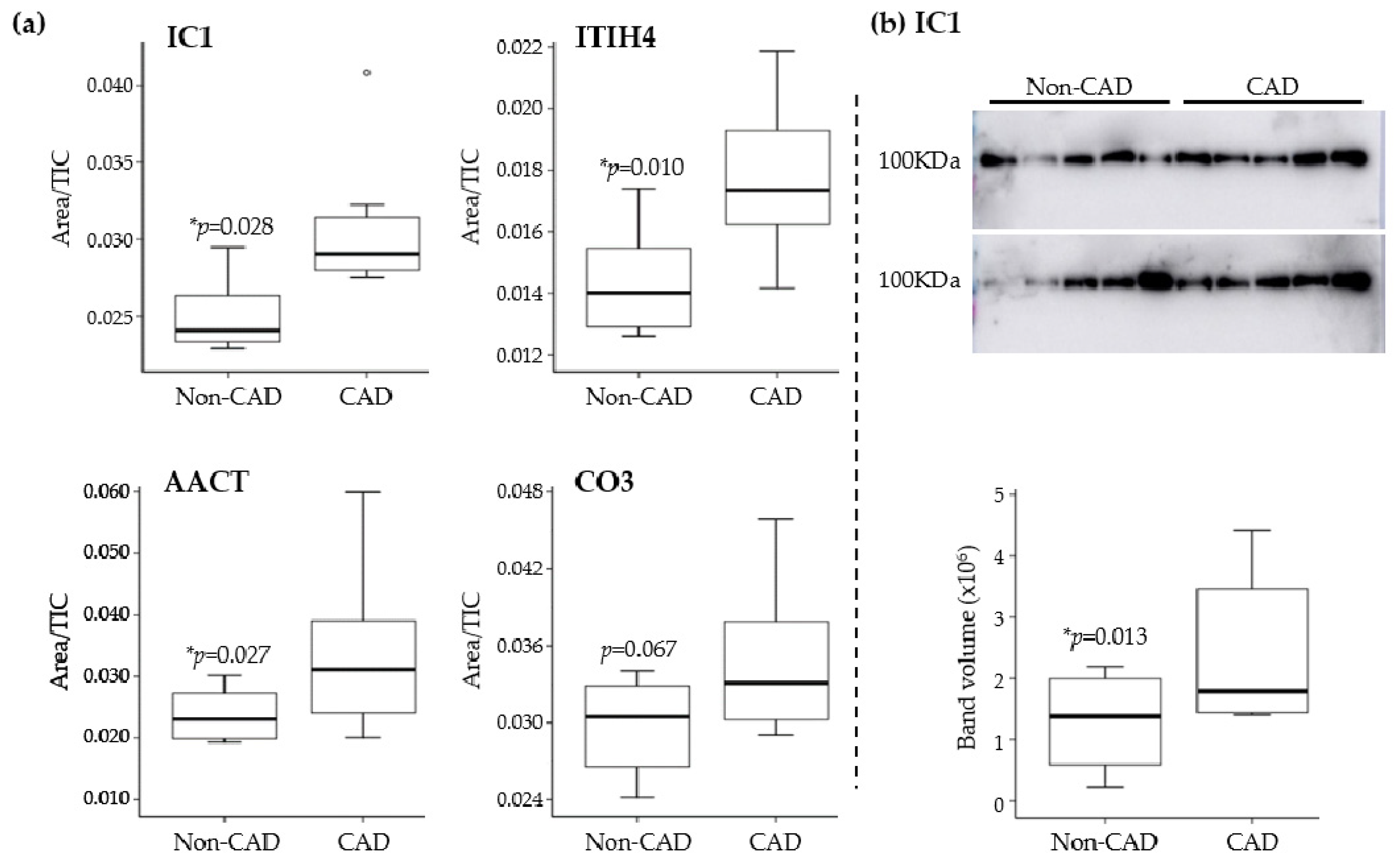 Antioxidants 11 00317 g003