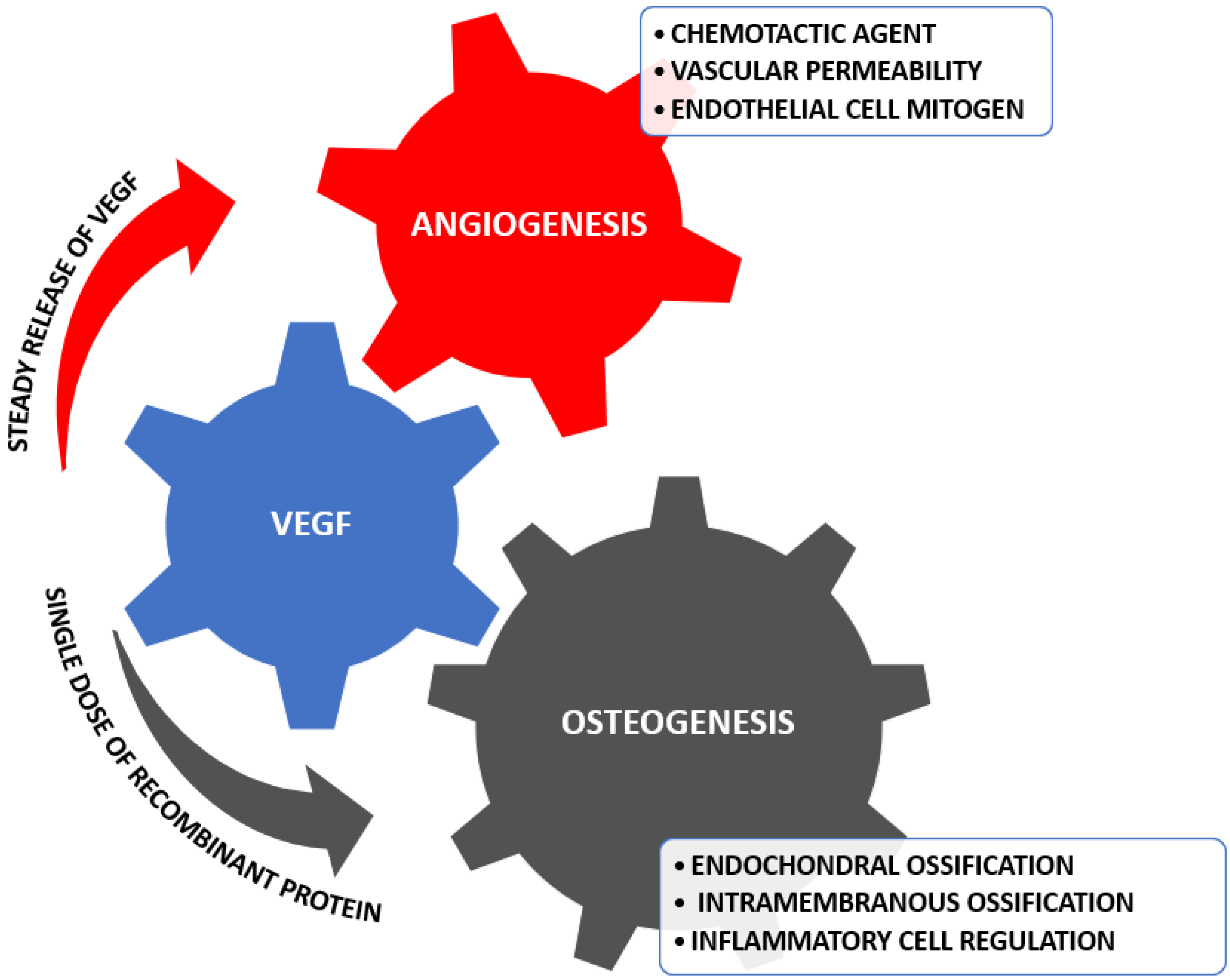 Antioxidants 11 00318 g002