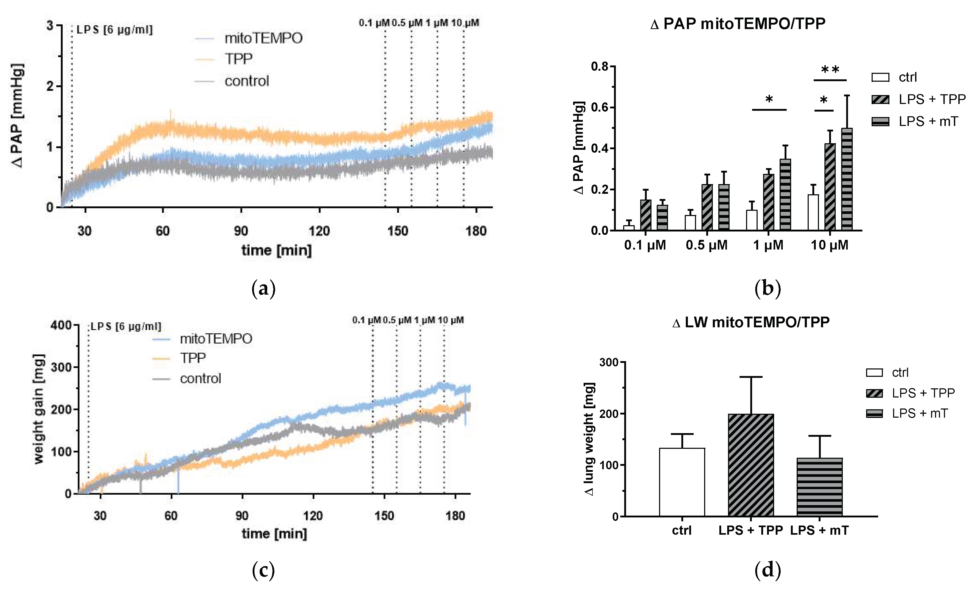 Antioxidants 11 00323 g006