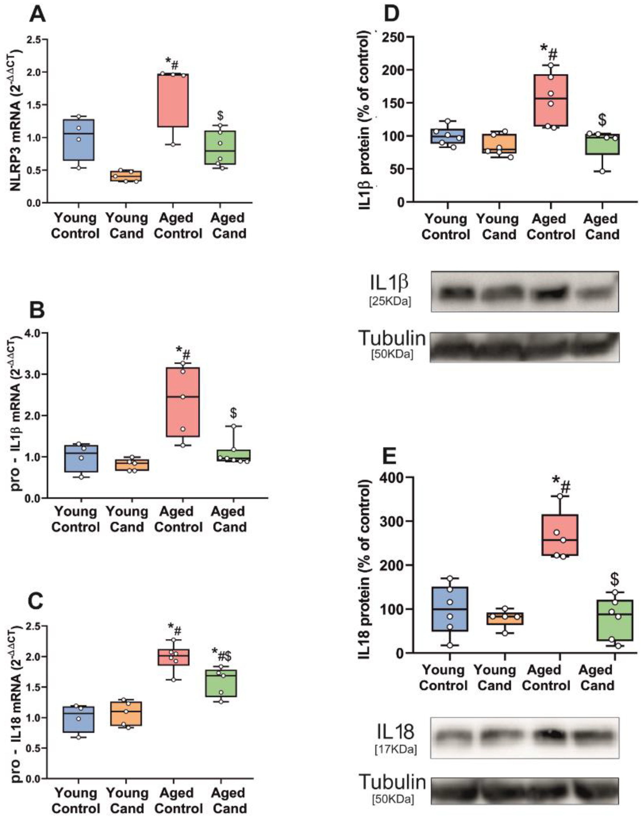 Antioxidants 11 00329 g001