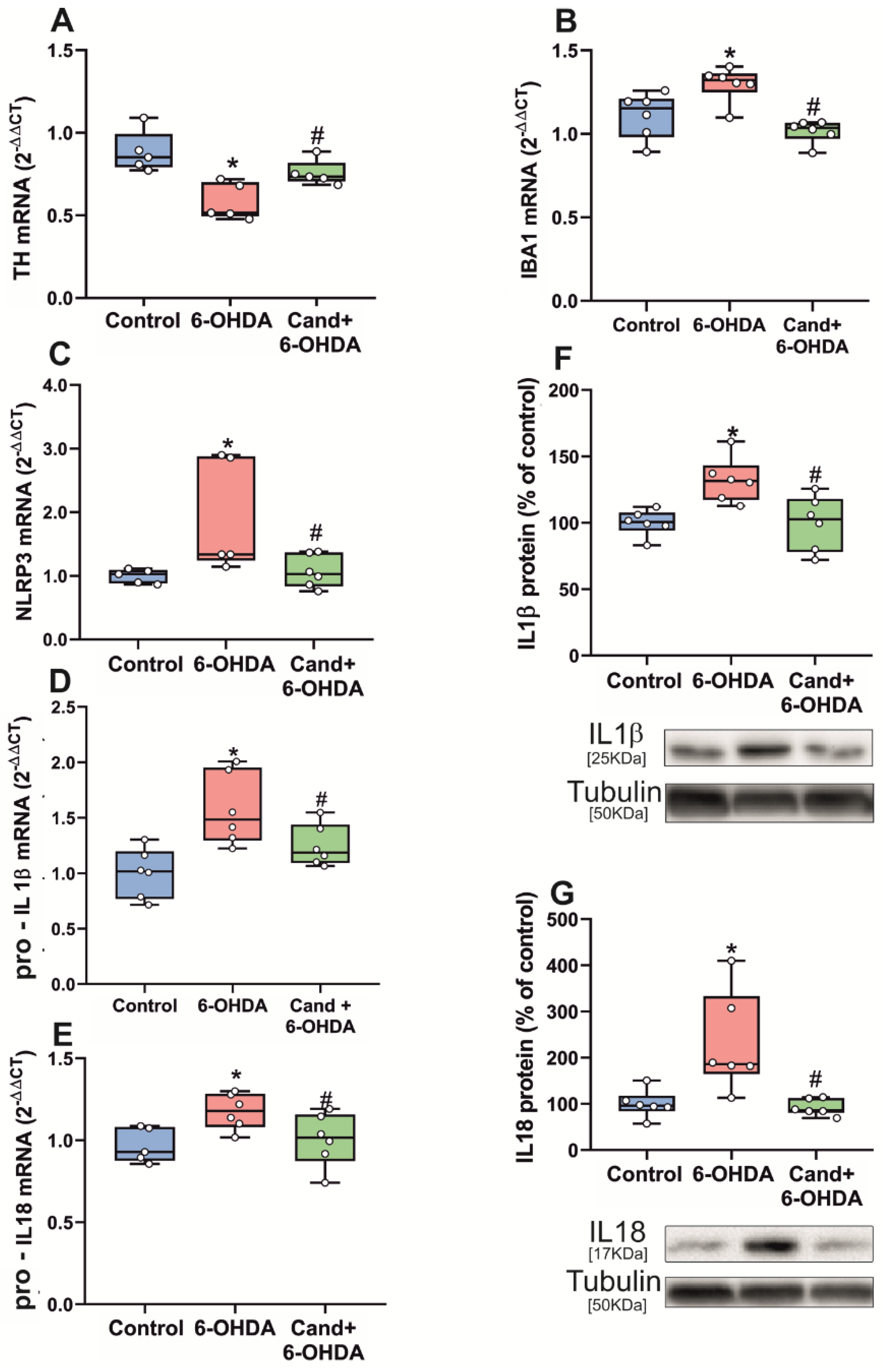 Antioxidants 11 00329 g004