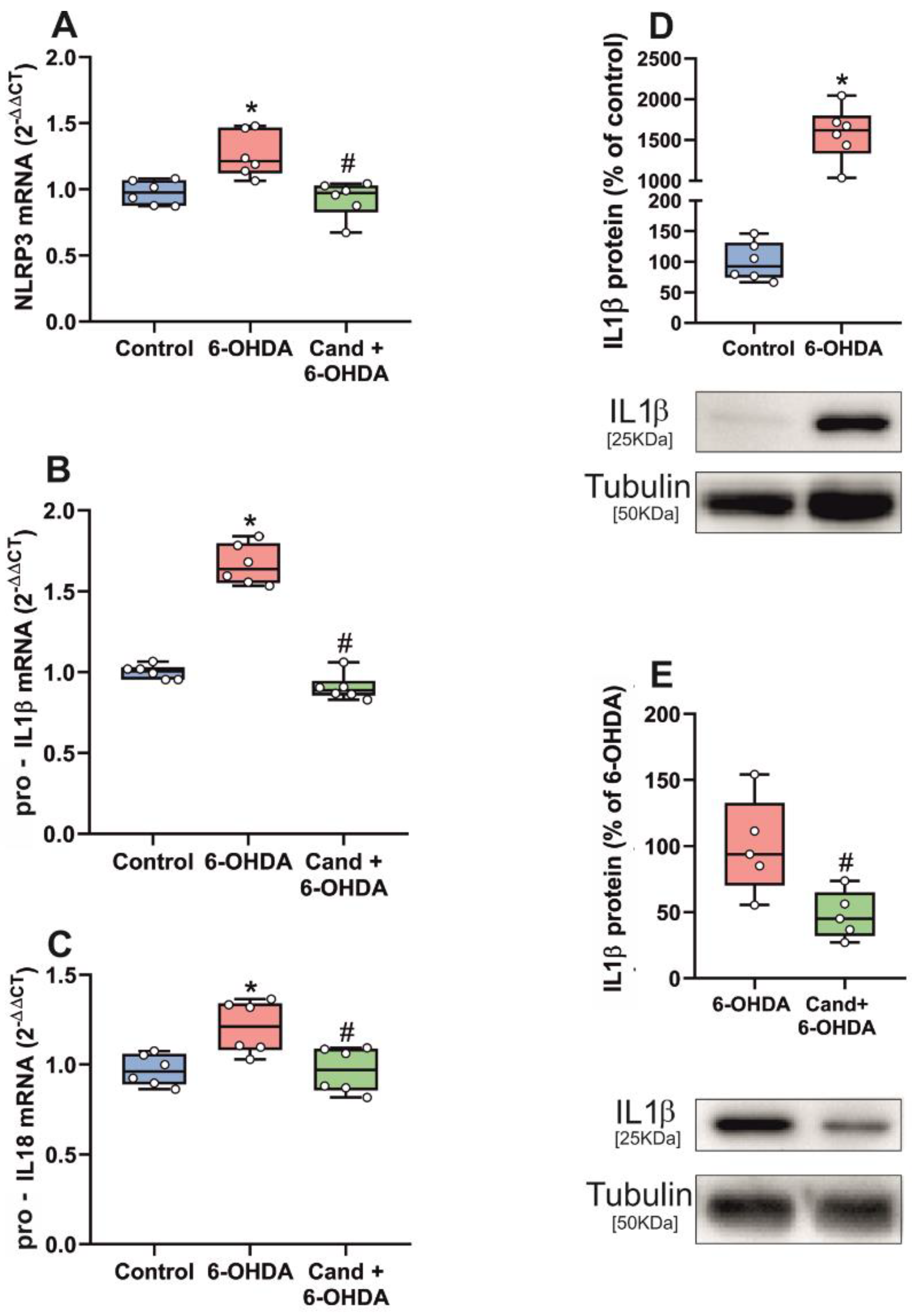 Antioxidants 11 00329 g005
