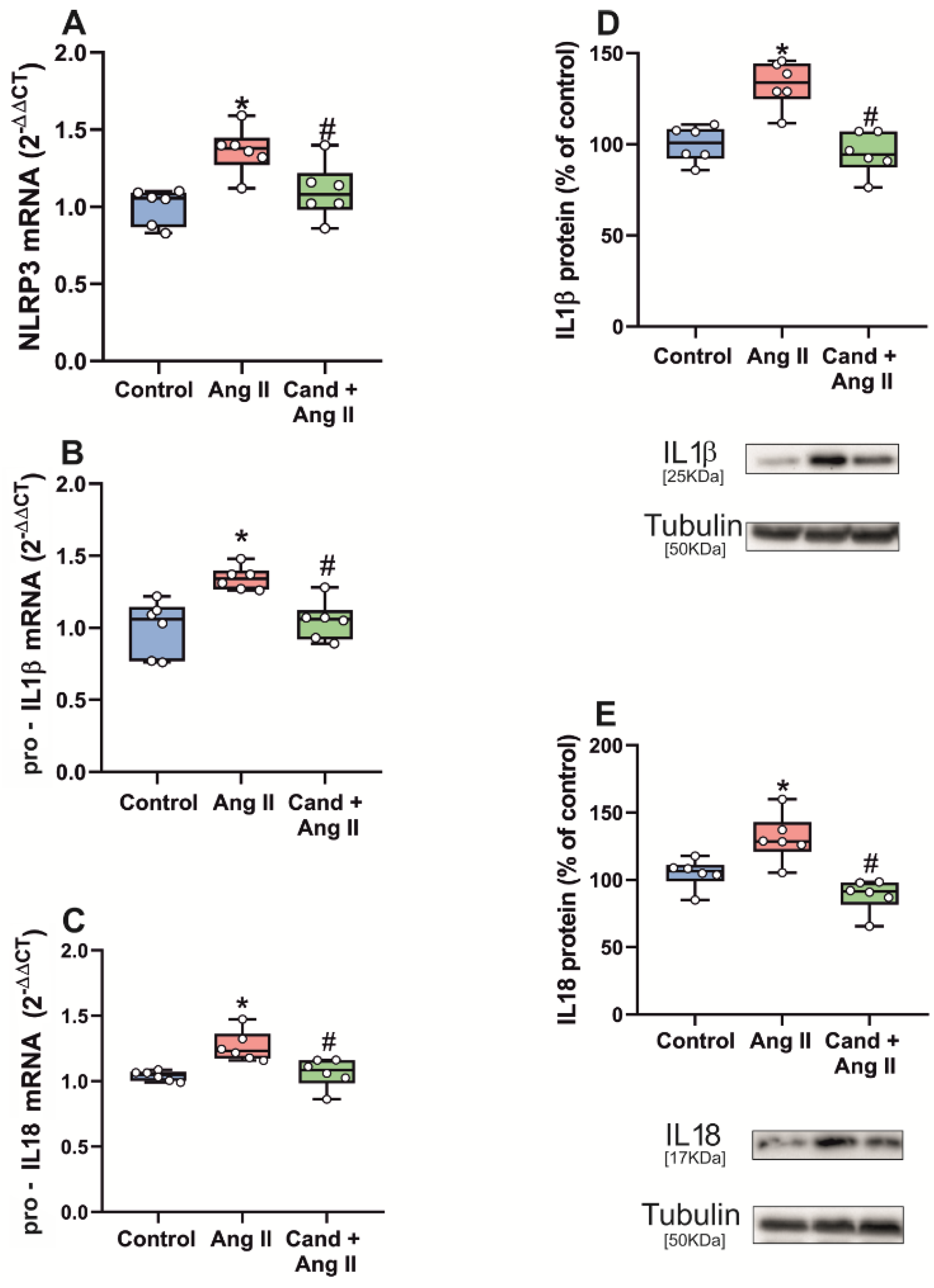 Antioxidants 11 00329 g006