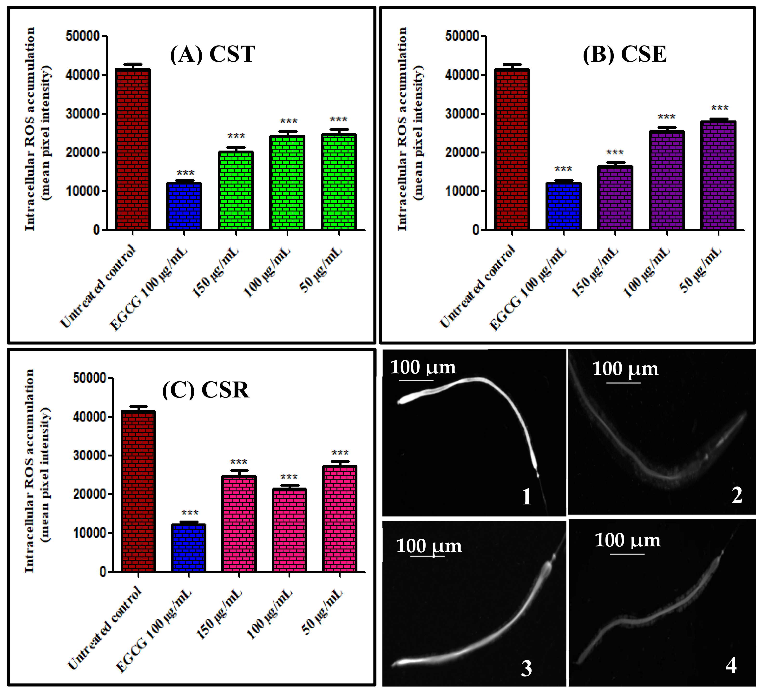 Antioxidants 11 00330 g002