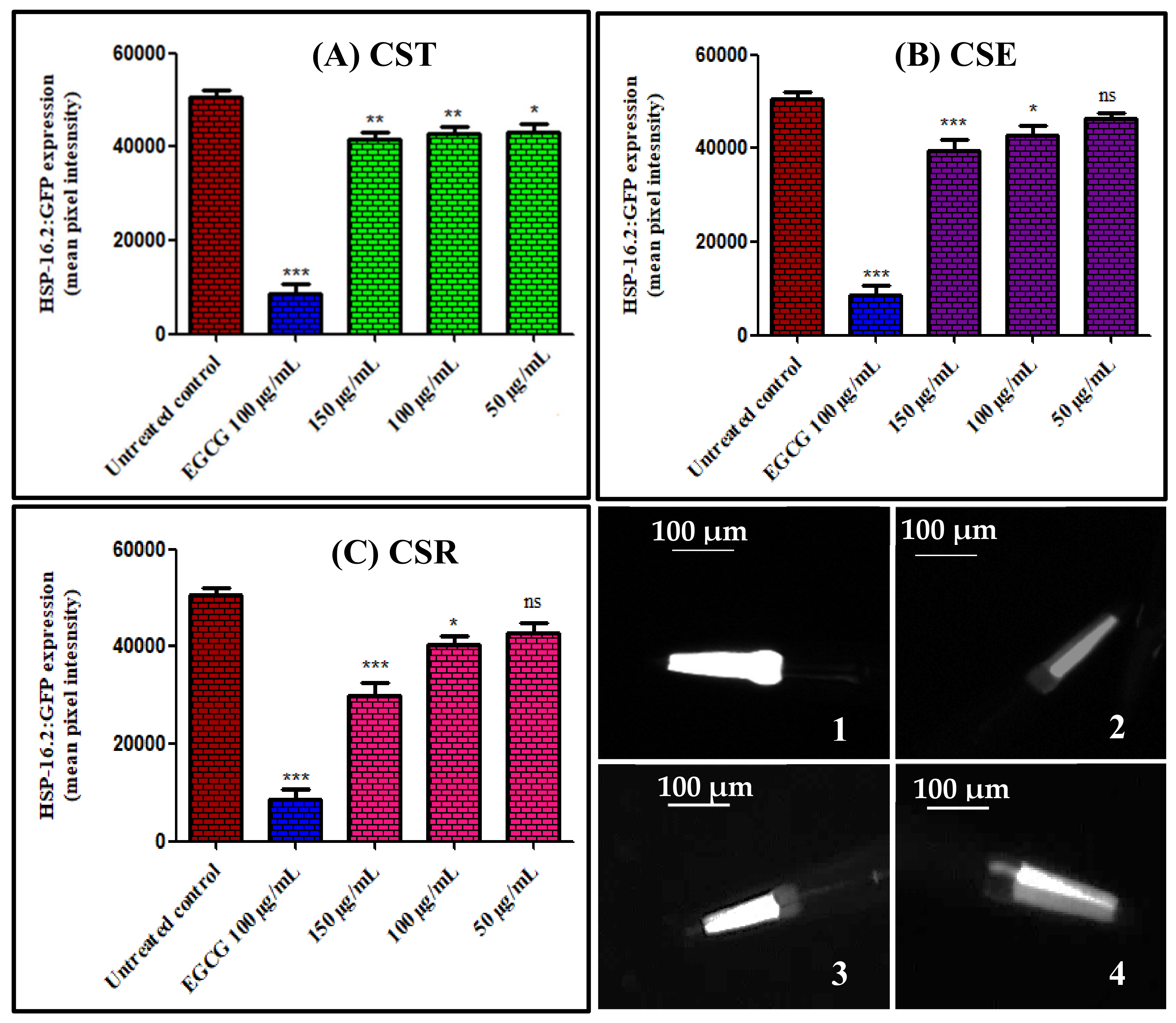 Antioxidants 11 00330 g003
