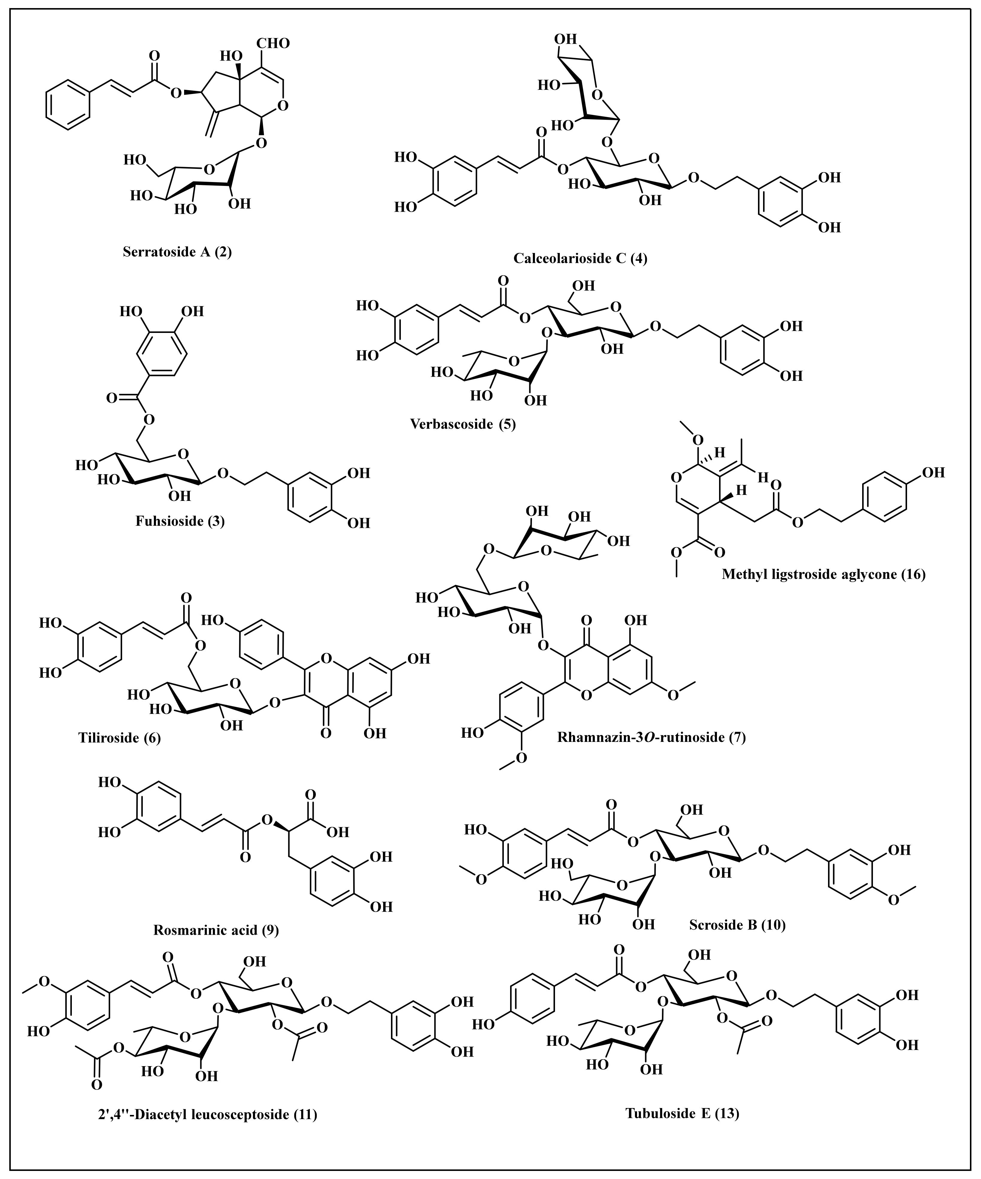Antioxidants 11 00330 g004