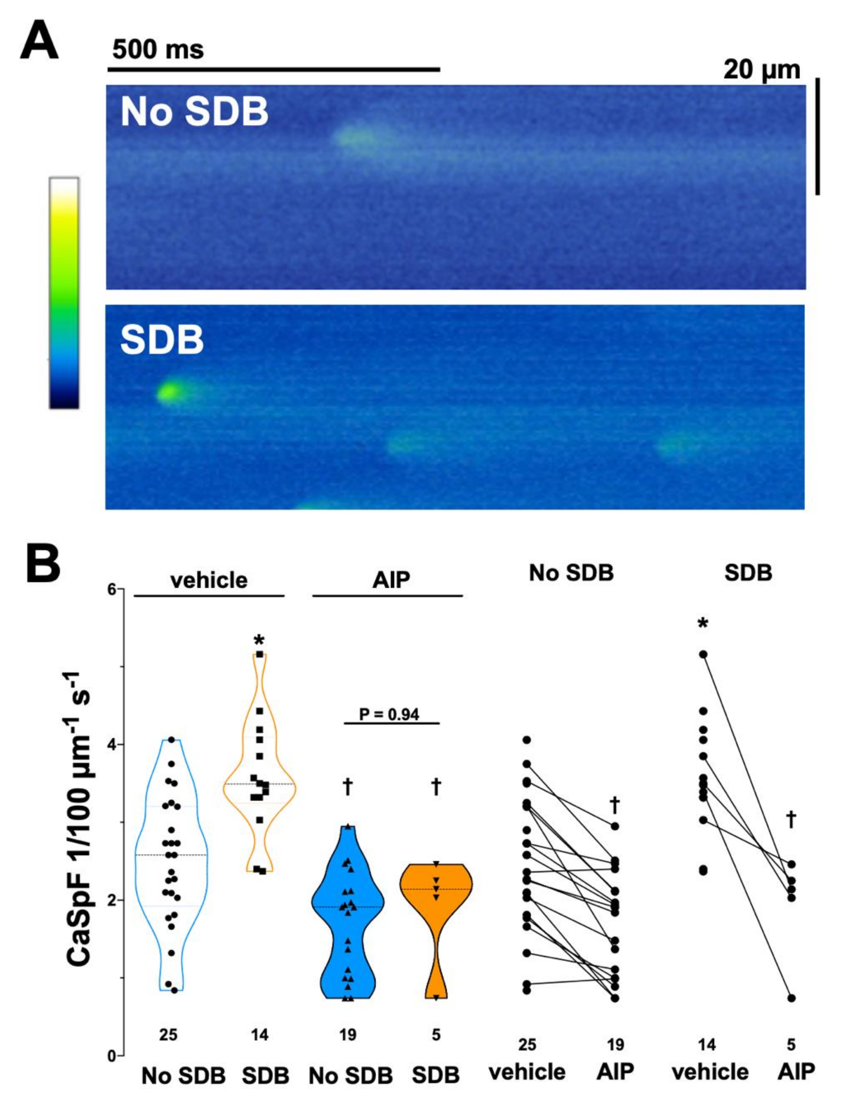 Antioxidants 11 00331 g003