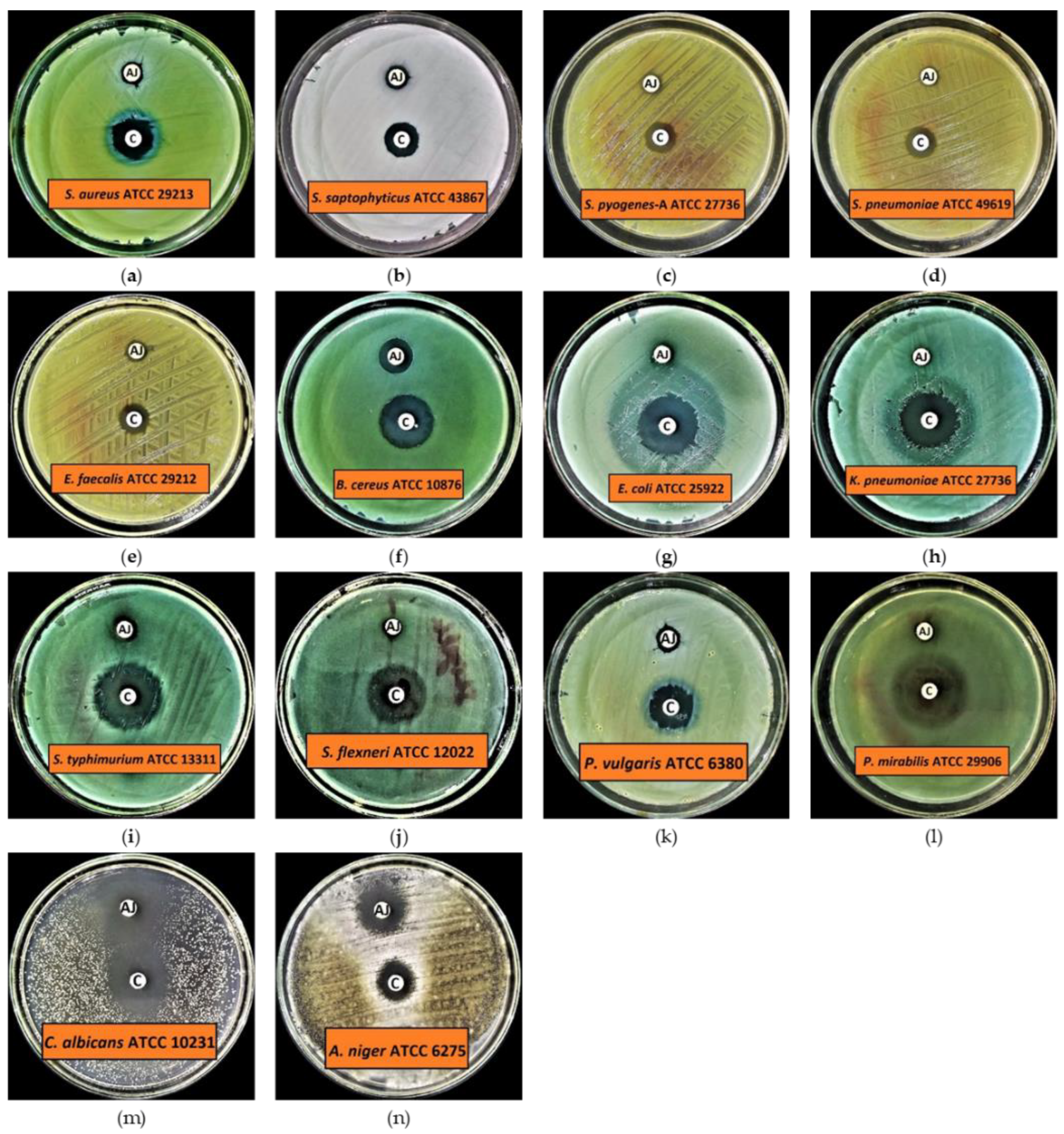 Antioxidants 11 00332 g002 Antioxidants 11 00332 g002