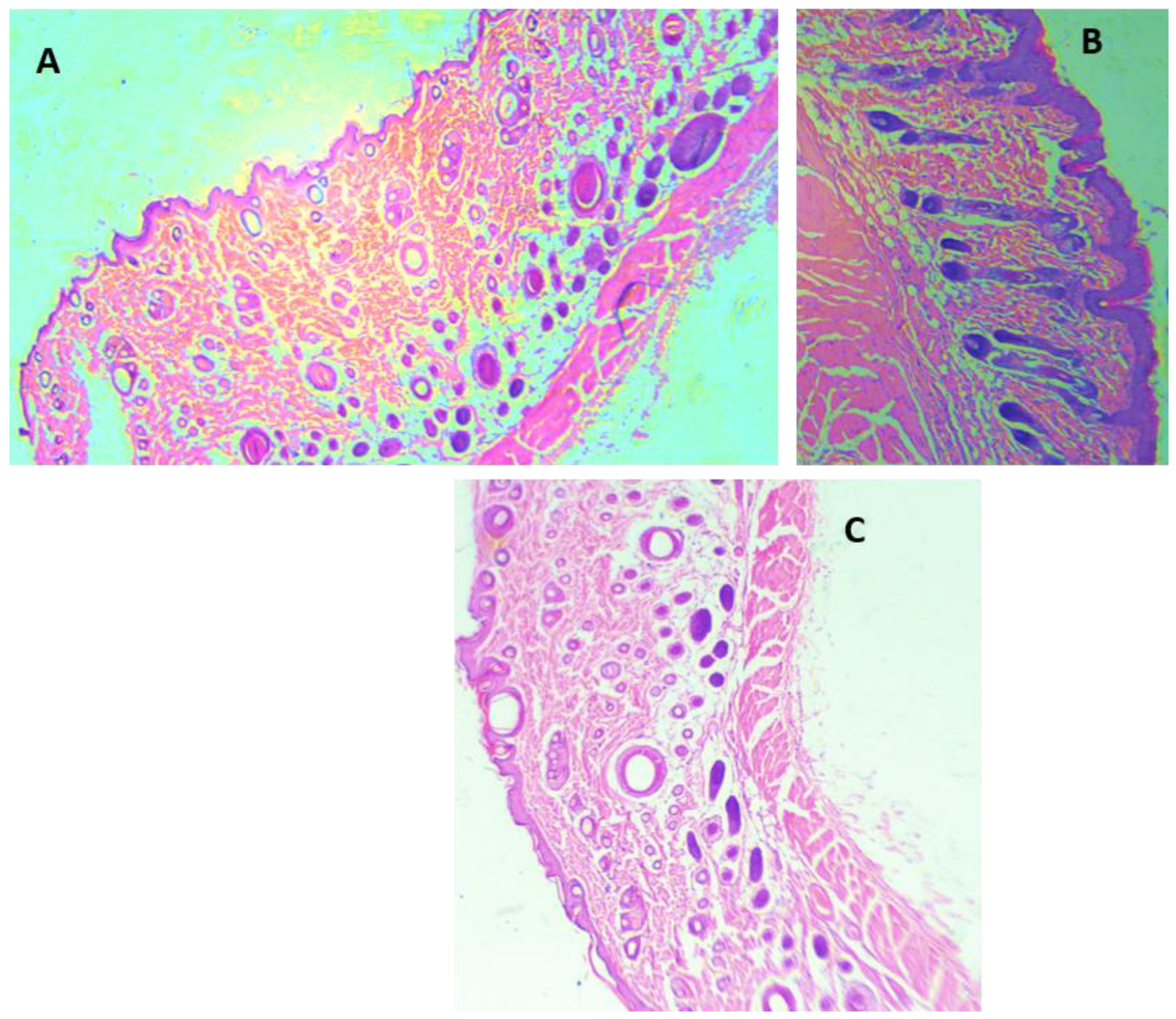 Antioxidants 11 00332 g004 Antioxidants 11 00332 g004