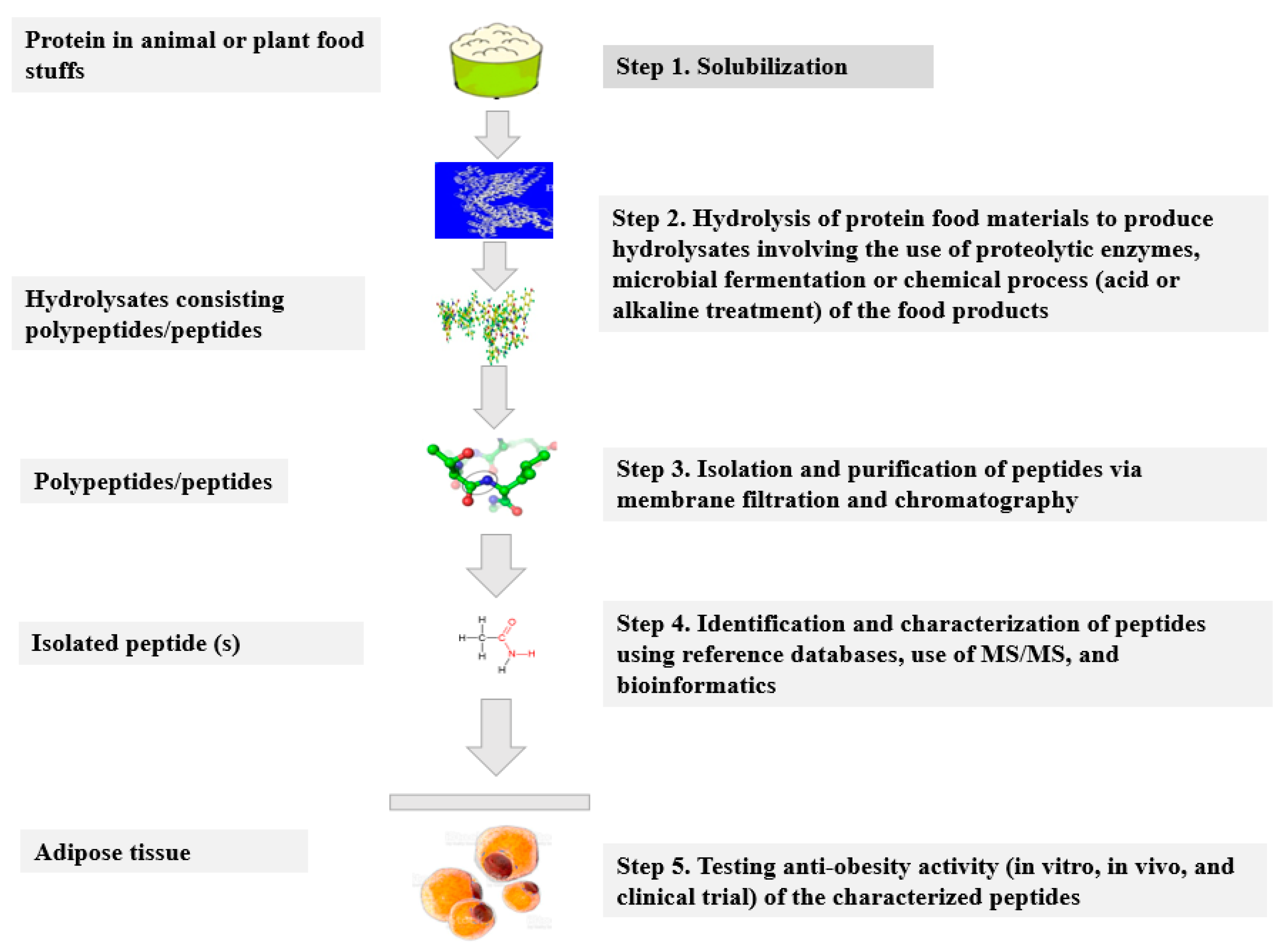 Antioxidants 11 00333 g002