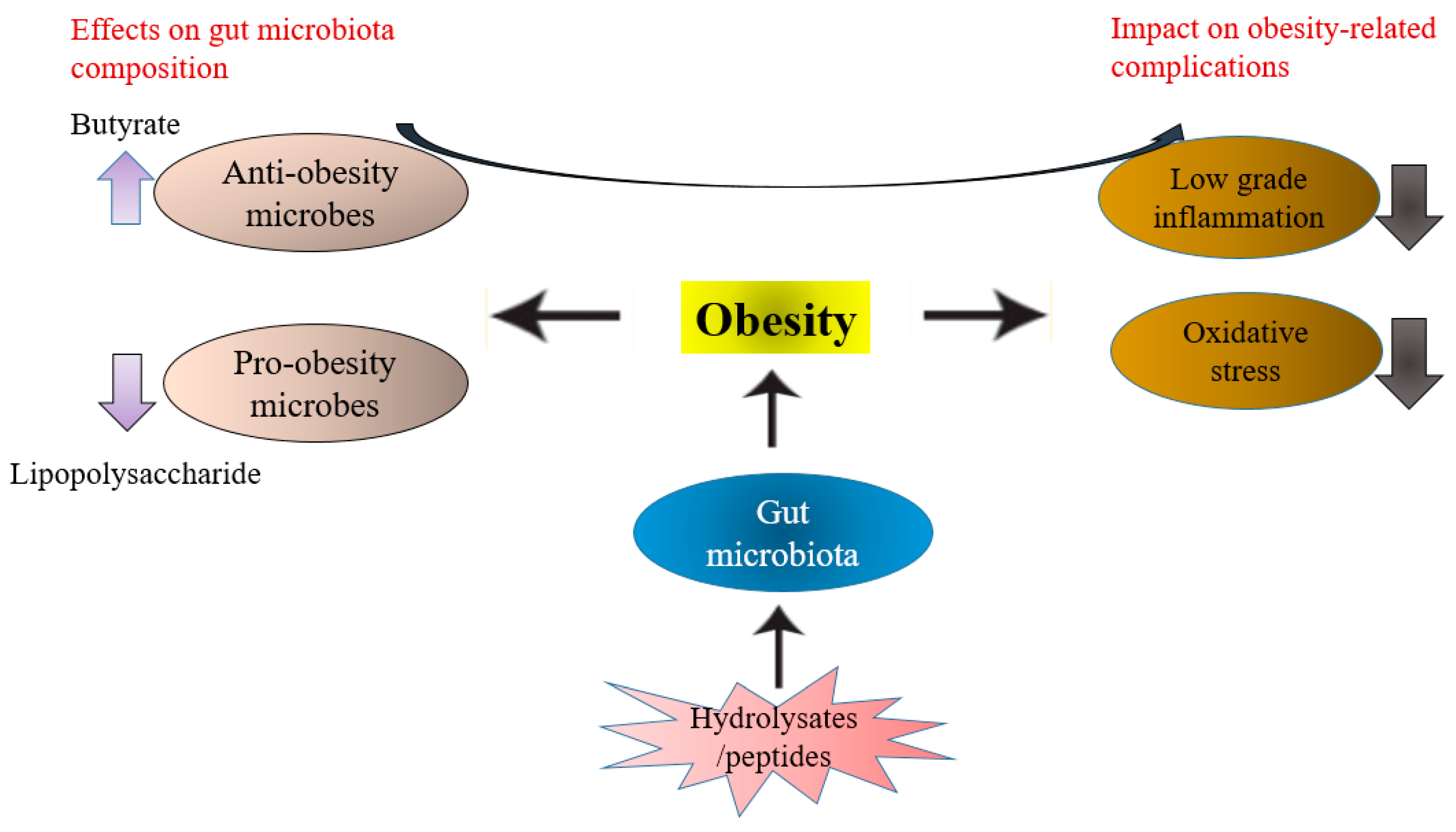 Antioxidants 11 00333 g003