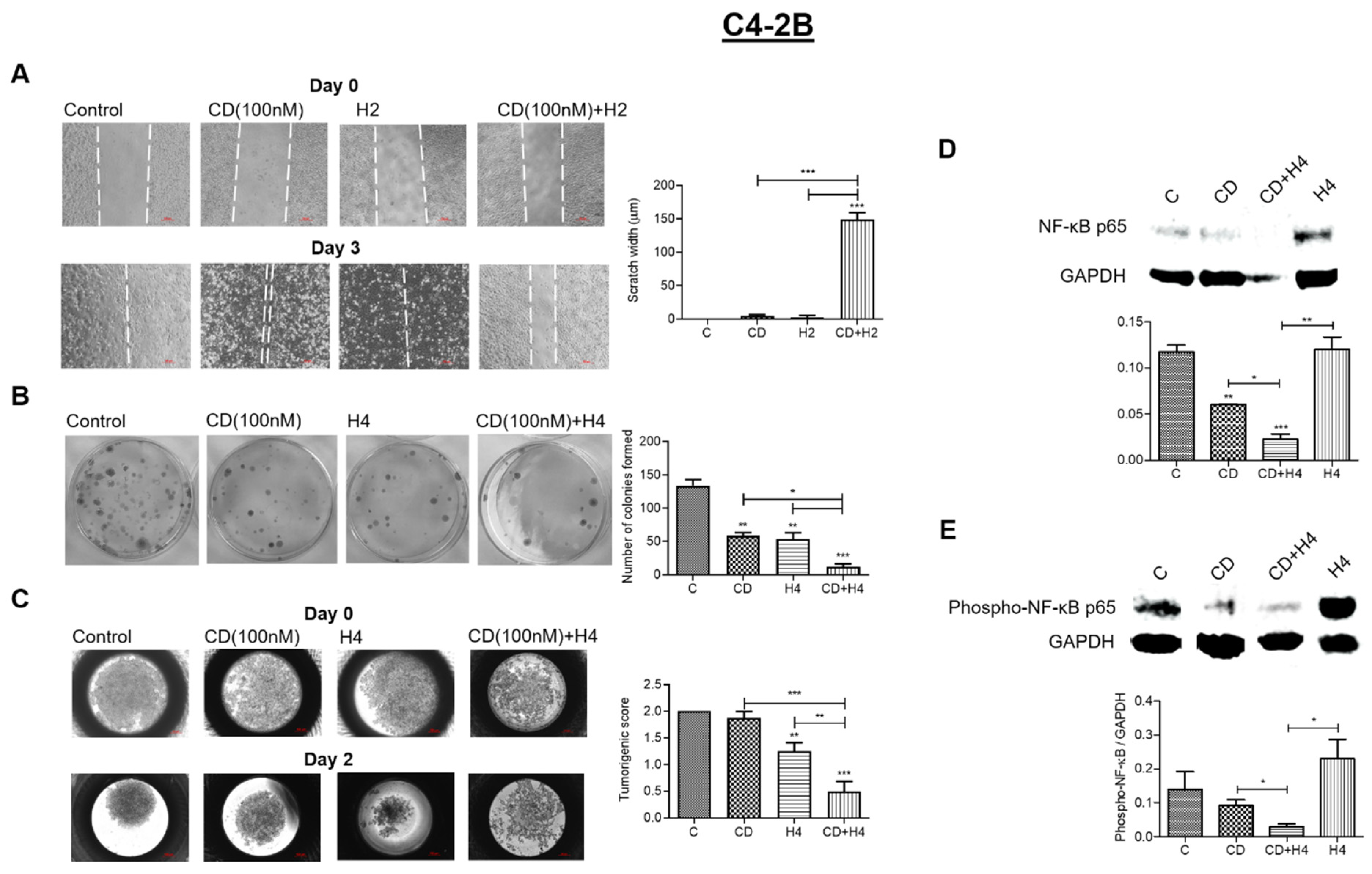 Antioxidants 11 00341 g003 Antioxidants 11 00341 g003