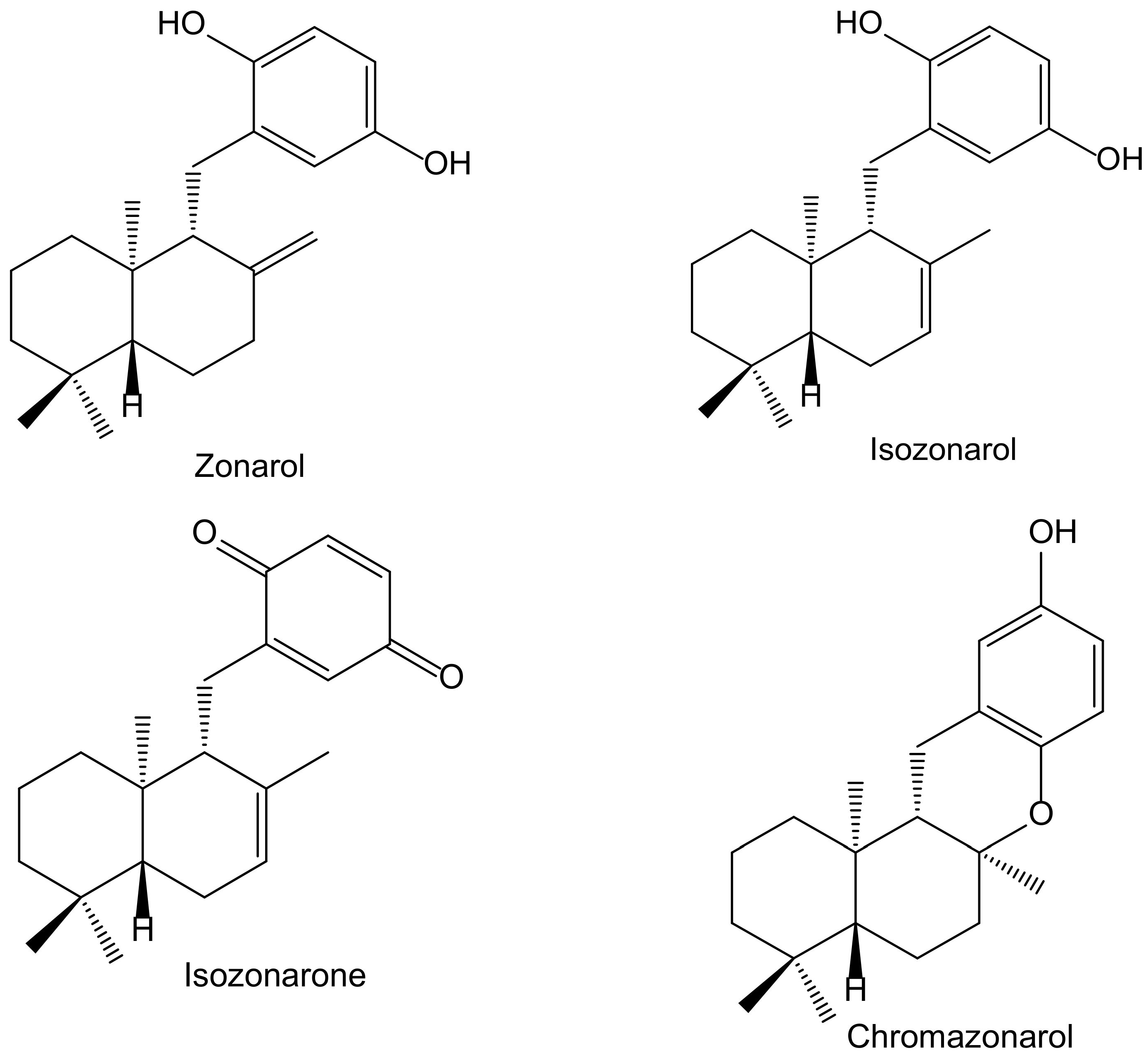 Antioxidants 11 00343 g008 Antioxidants 11 00343 g008