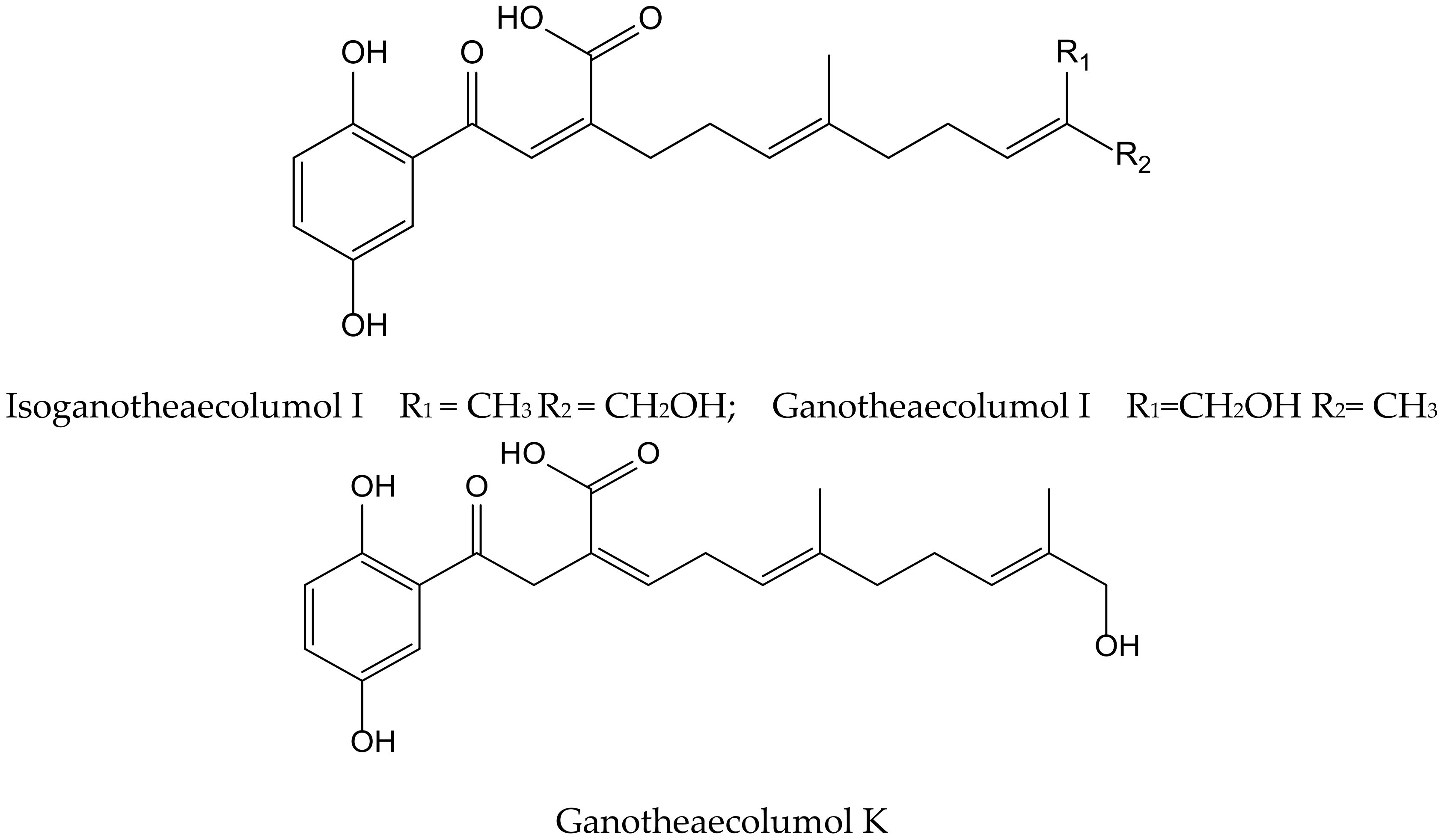 Antioxidants 11 00343 g016 Antioxidants 11 00343 g016