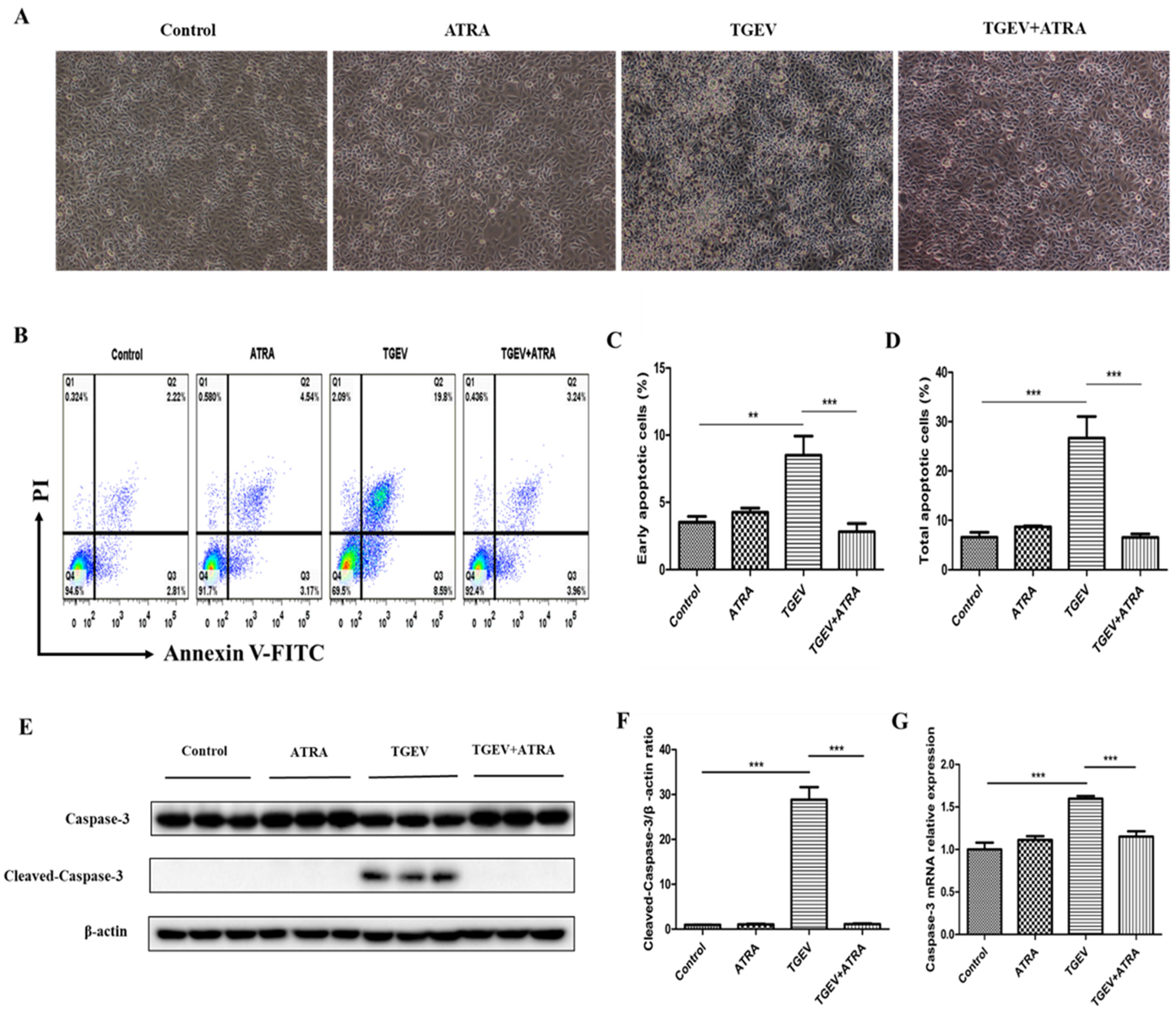 Antioxidants 11 00345 g003