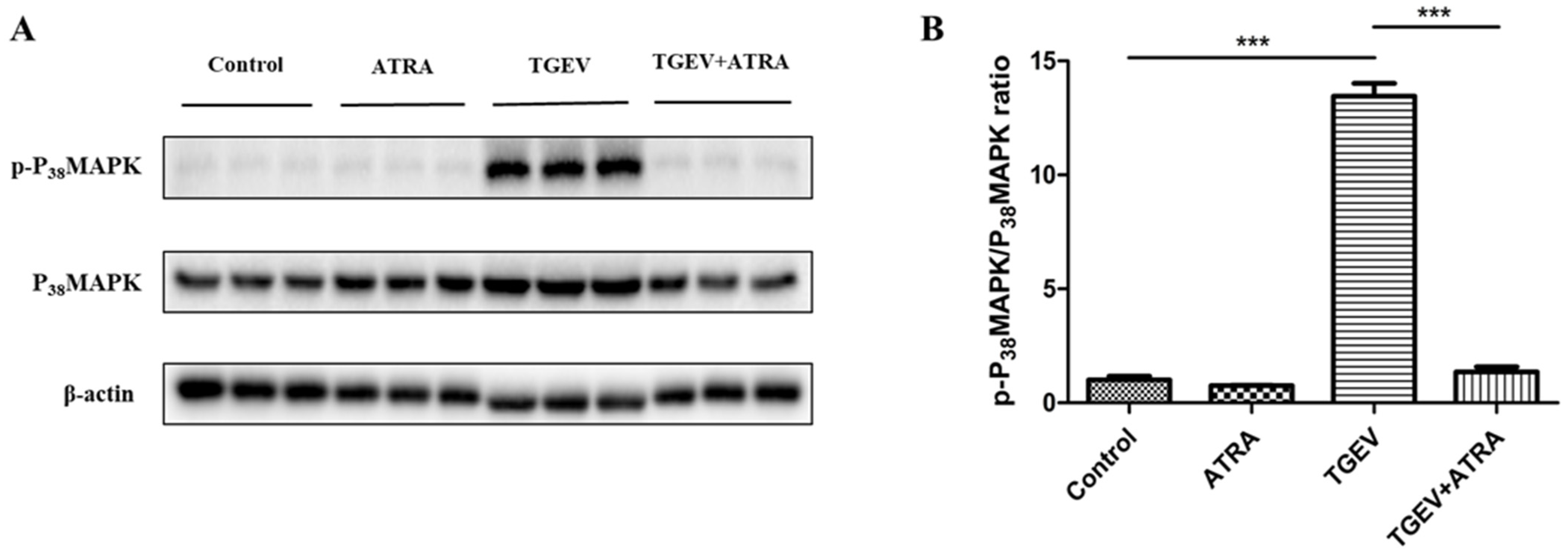 Antioxidants 11 00345 g008