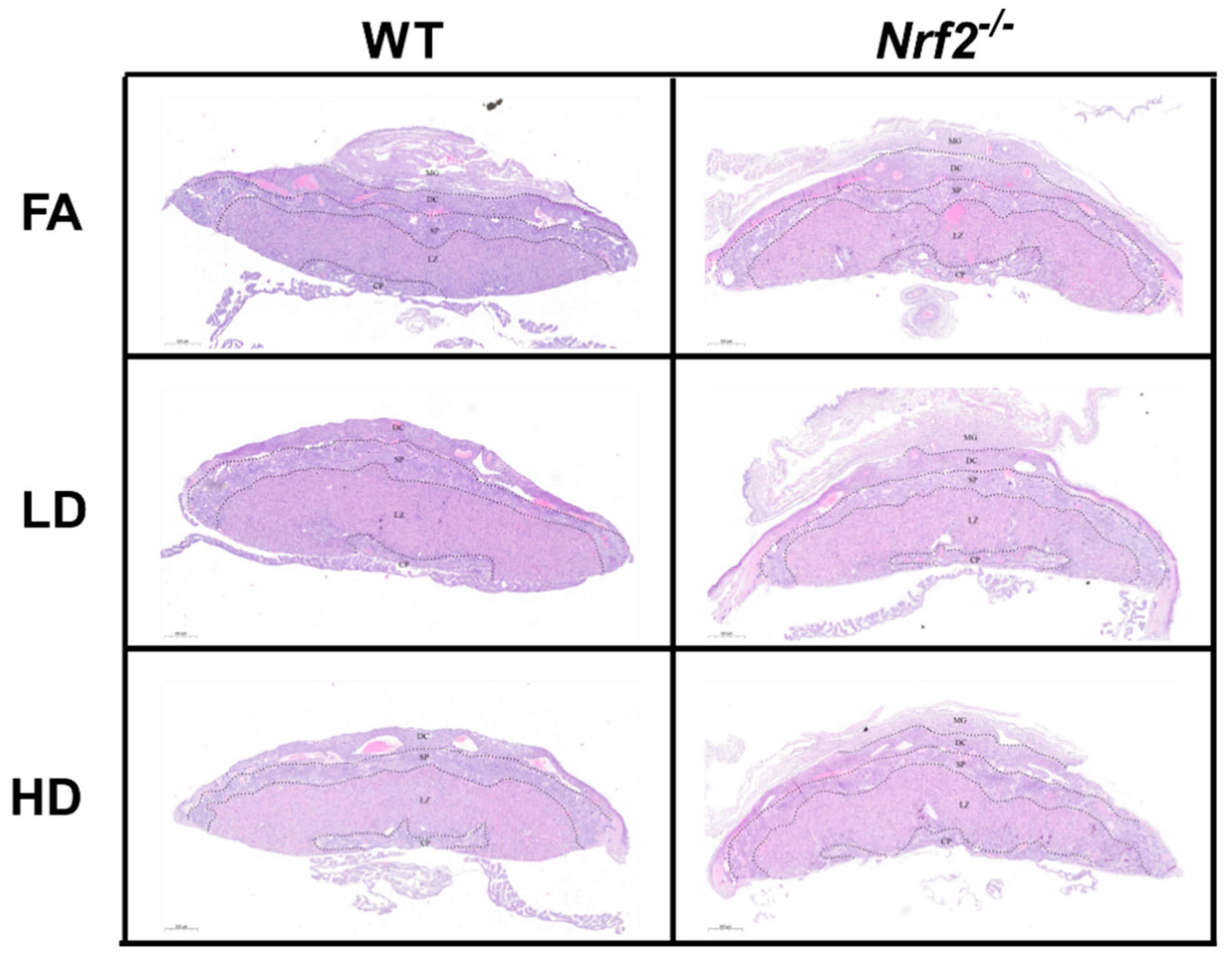 Antioxidants 11 00352 g002