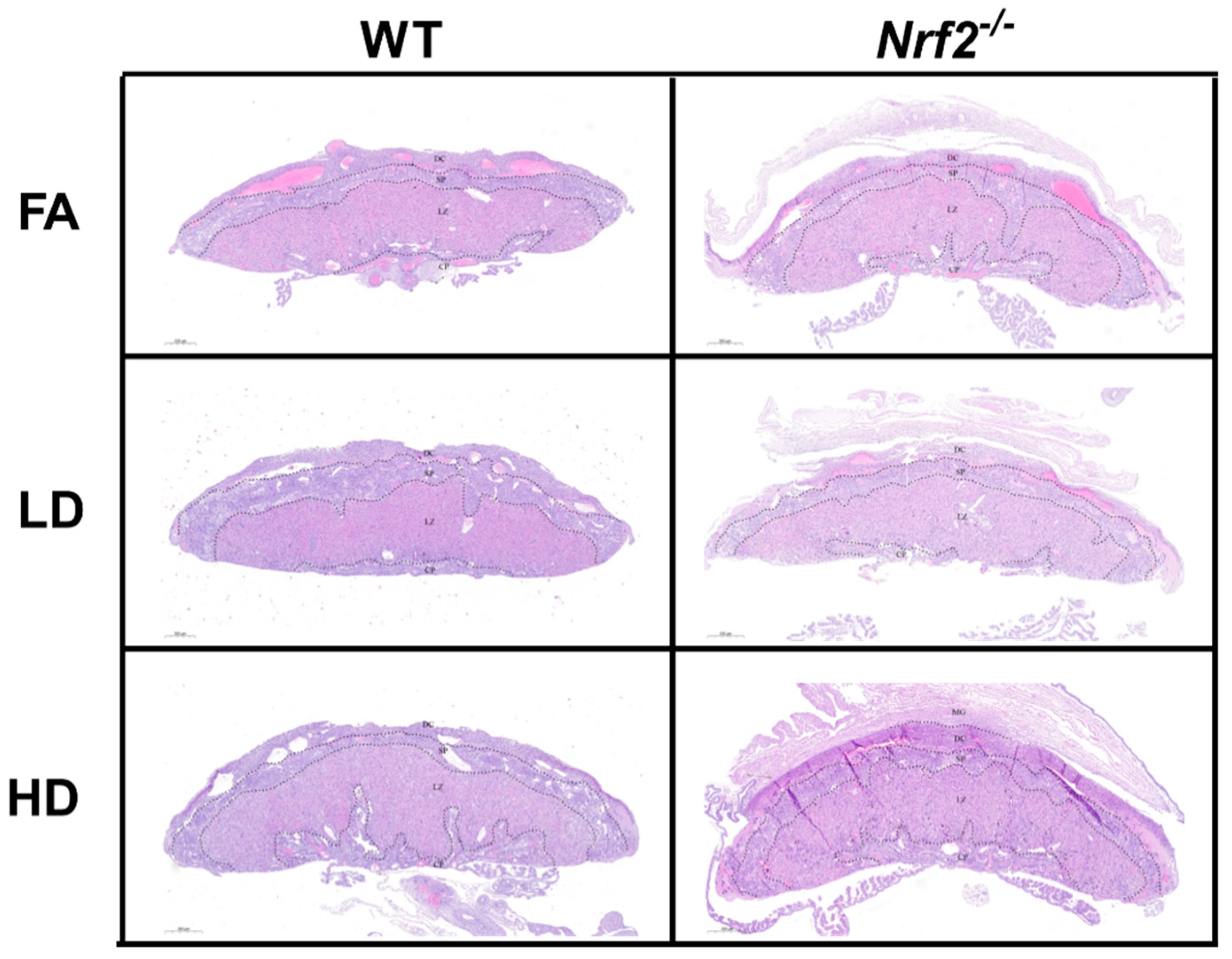 Antioxidants 11 00352 g003