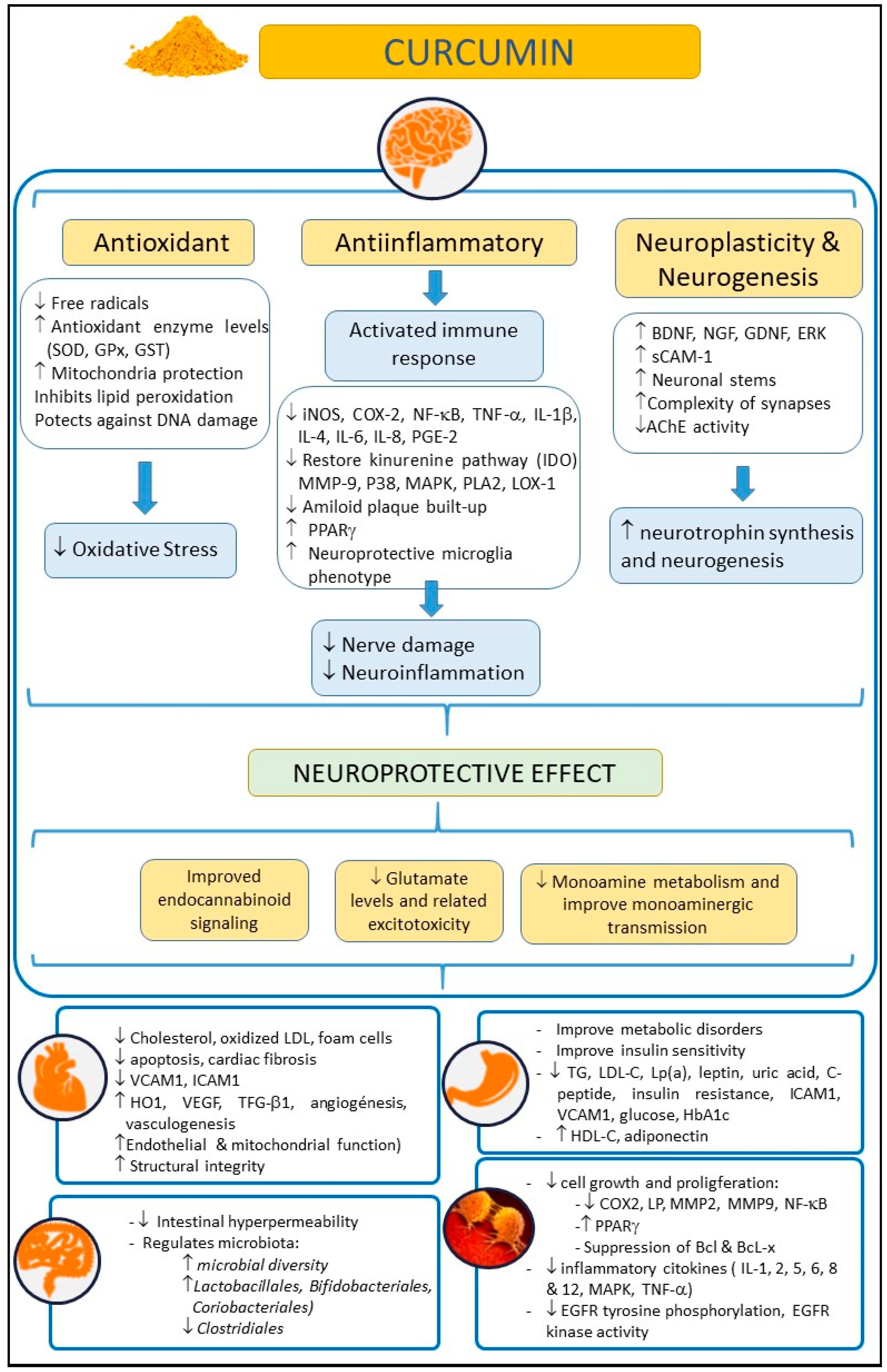 Antioxidants 11 00353 g001 Antioxidants 11 00353 g001