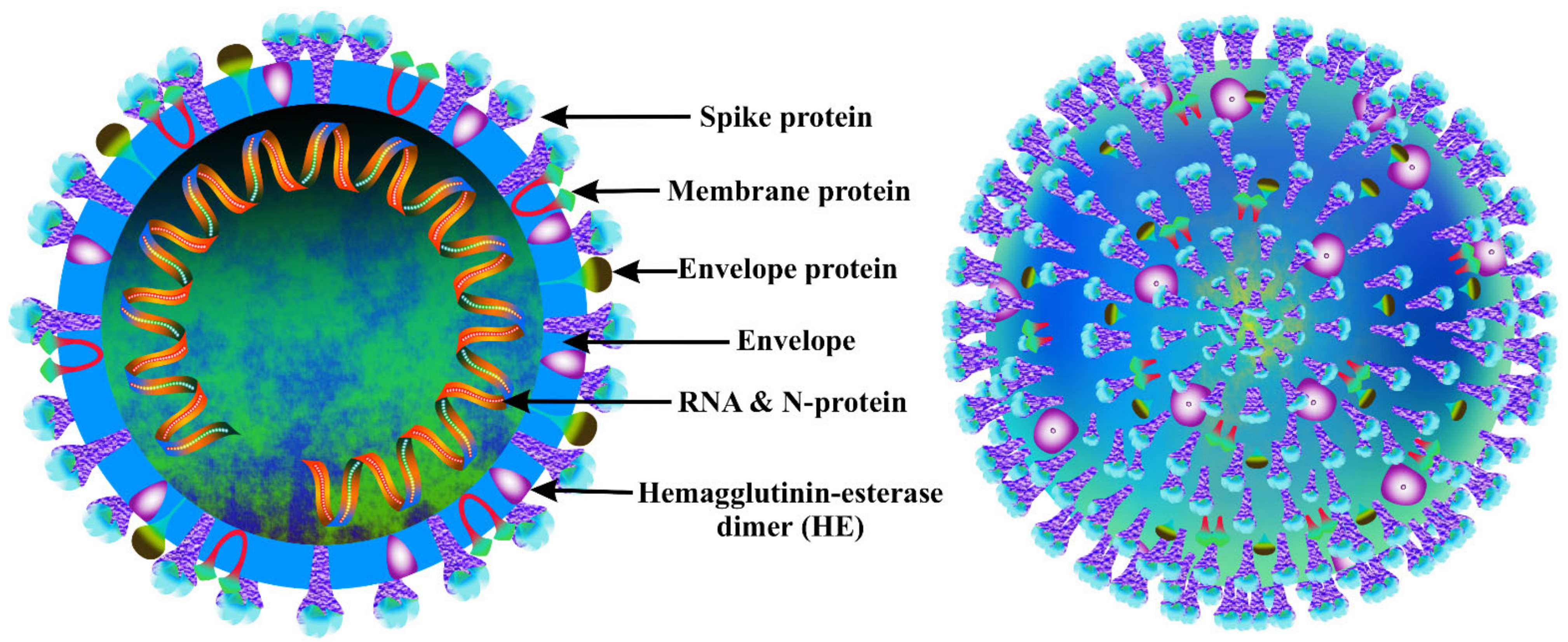 Antioxidants 11 00354 g001