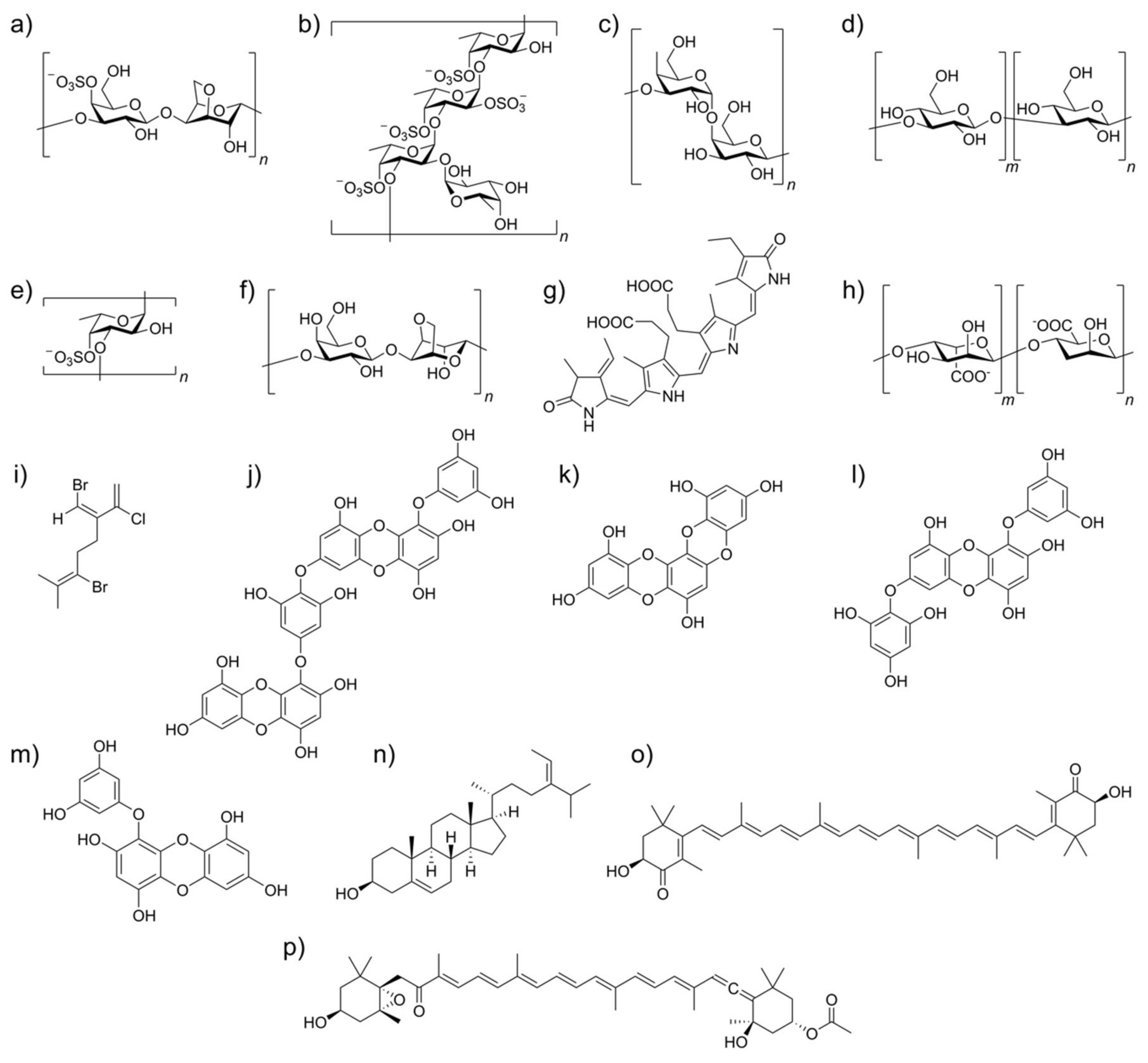 Antioxidants 11 00354 g003