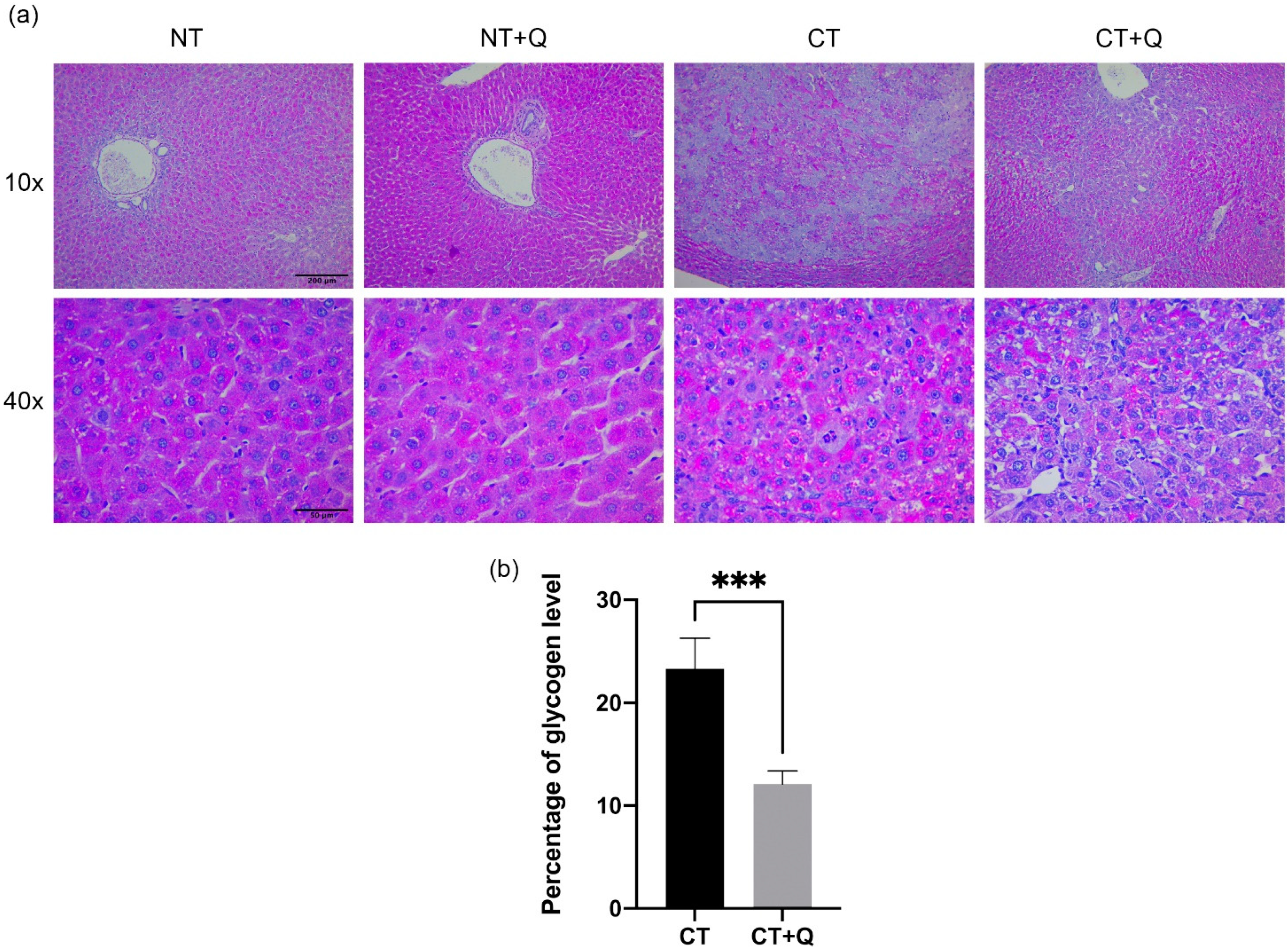 Antioxidants 11 00358 g003