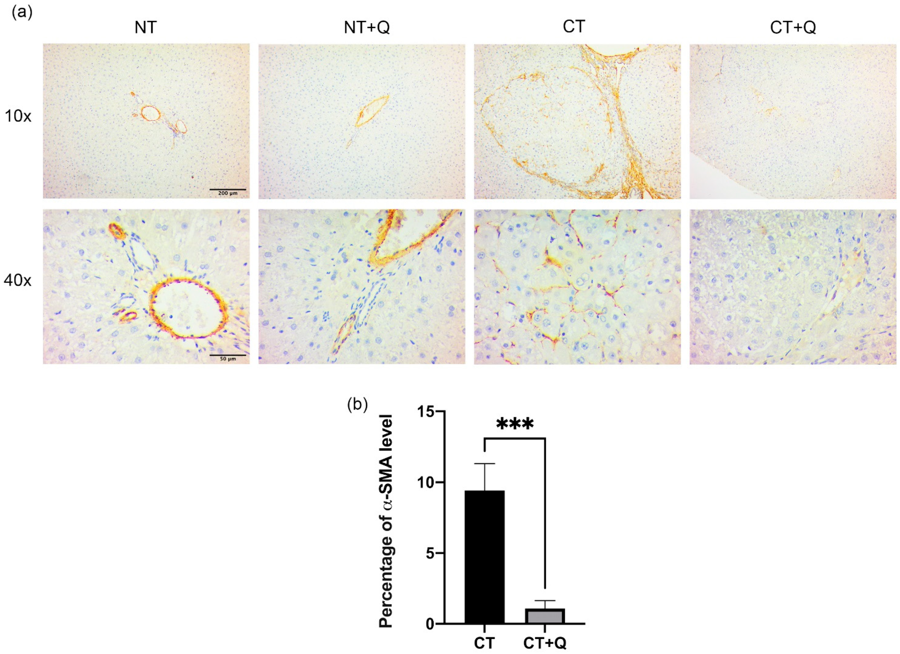 Antioxidants 11 00358 g005