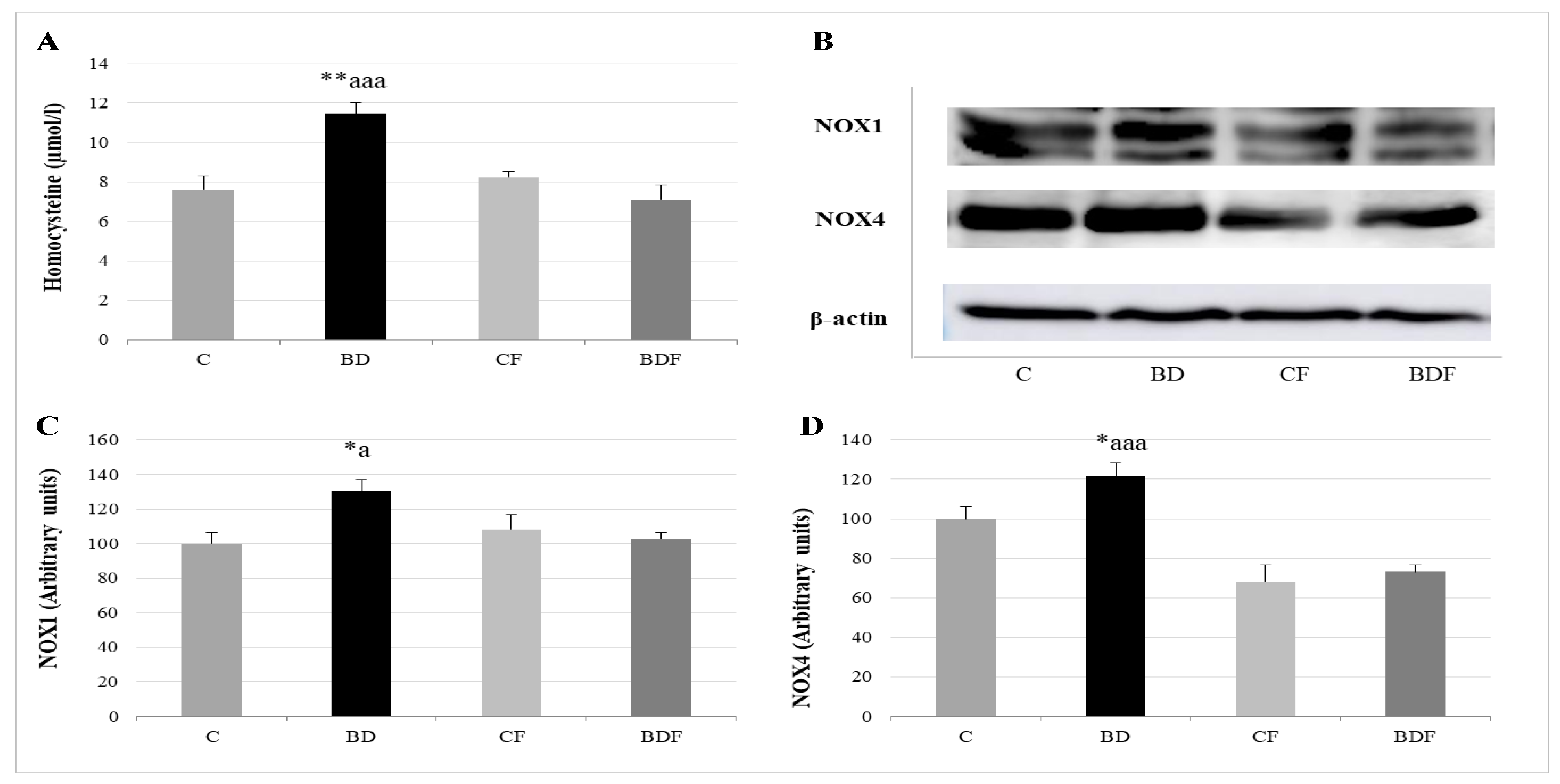 Antioxidants 11 00362 g004